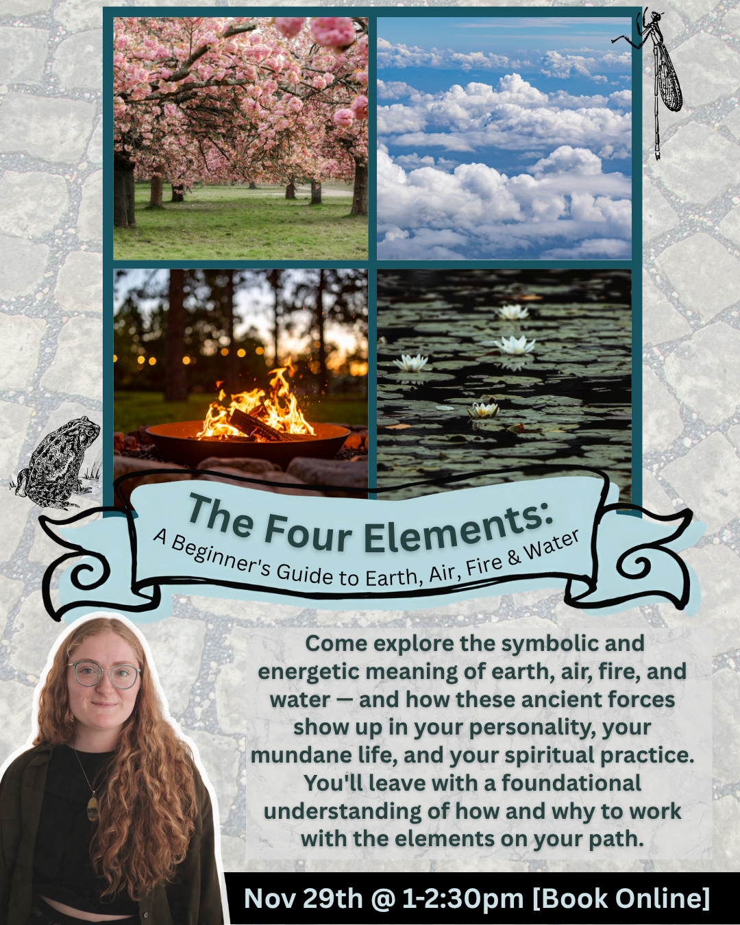 The Four Elements: A Beginner's Guide to Earth, Air, Fire &amp; Water