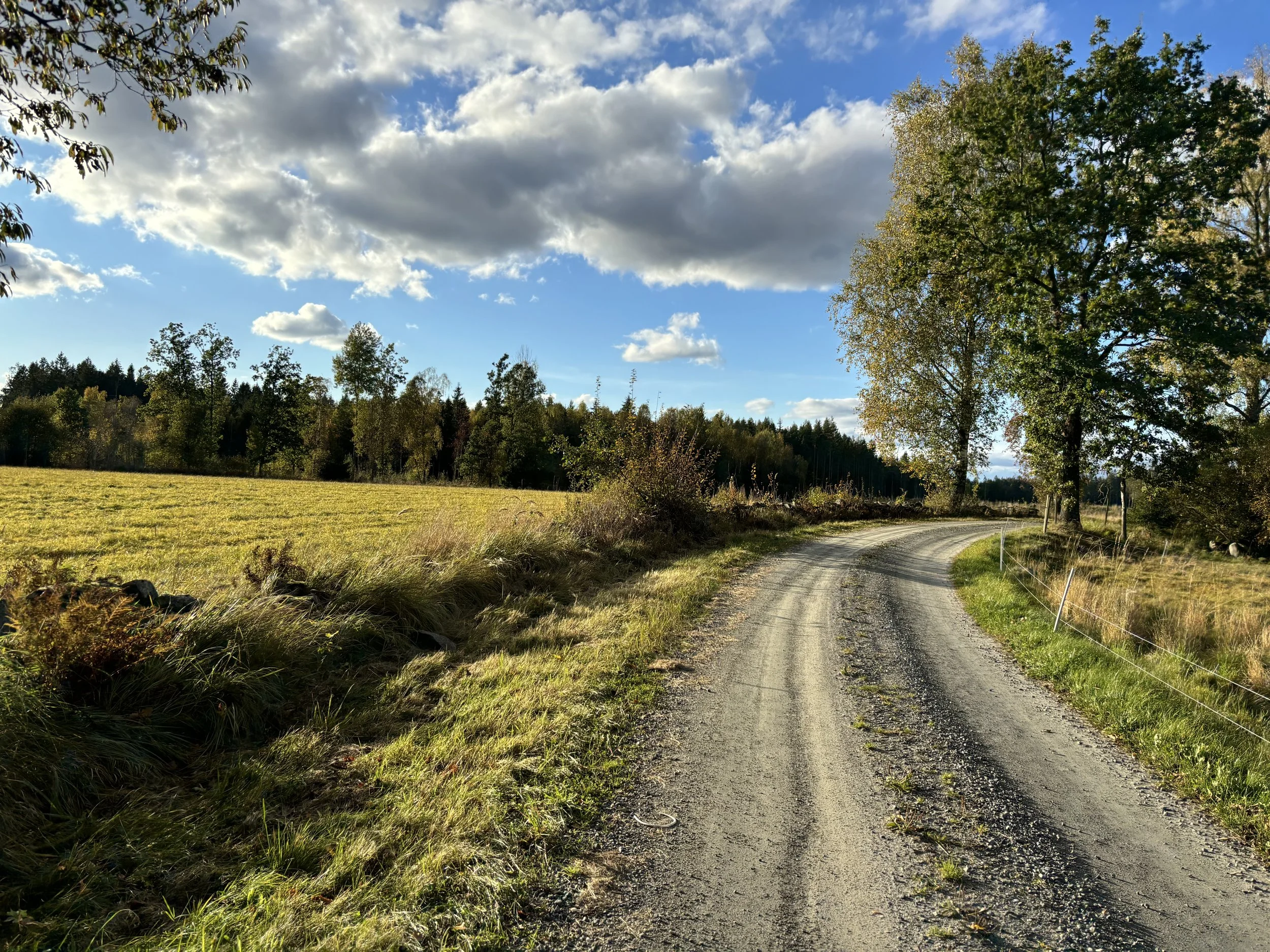 Comprehensive Chronic Illness & Environmental Health Consultation