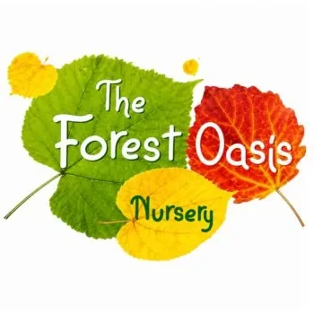 Colorful autumn leaves with the text 'The Forest Oasis Nursery' overlaid.