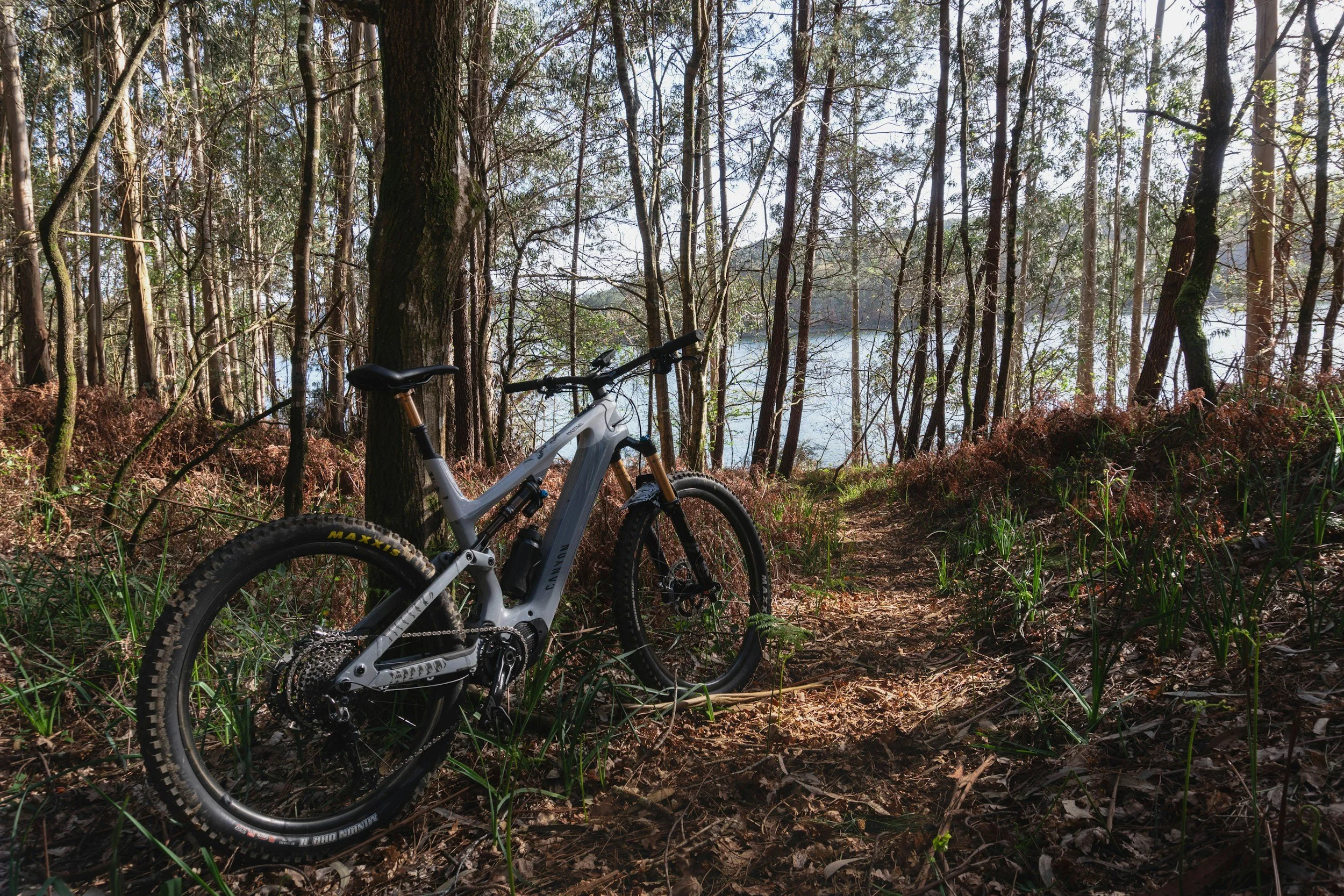A mountain bike resting on a dirt trail in a dense forest, with tall trees and a body of water visible in the background.