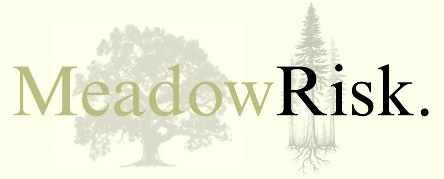  MeadowRisk Insurance Services