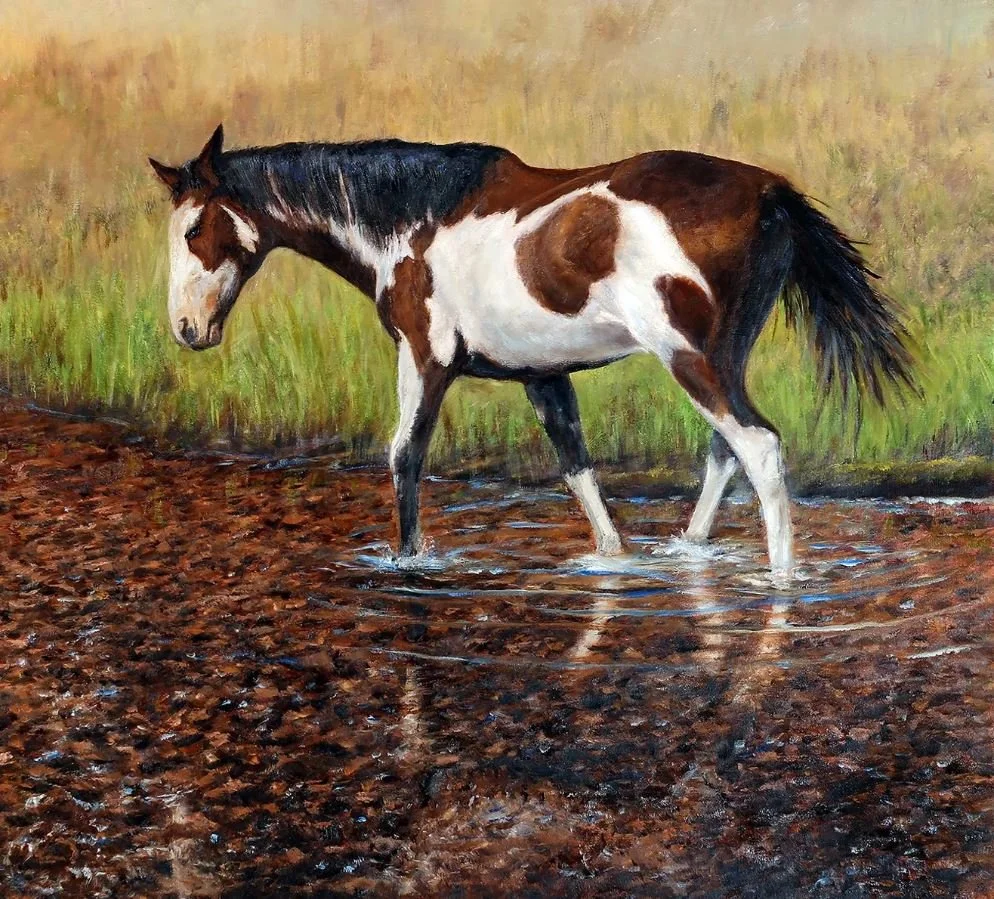 Tom Mostad