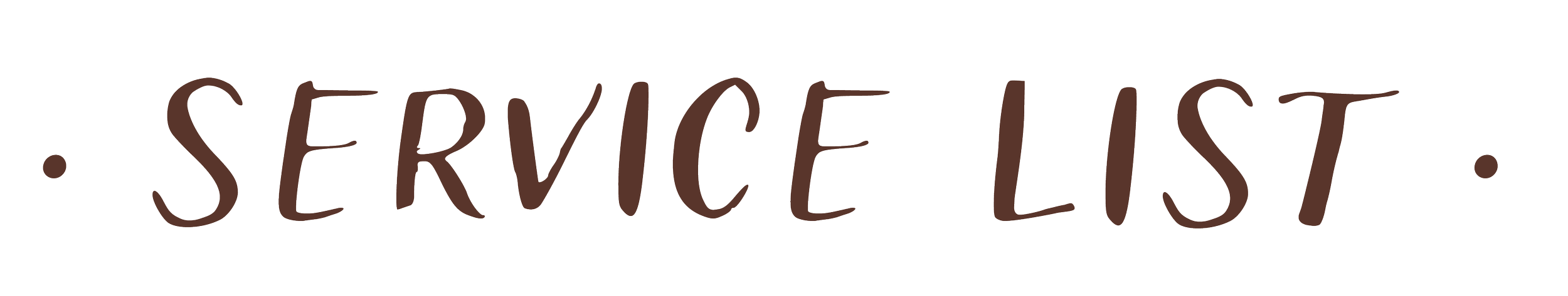Text that reads 'SERVICE LIST' in a casual handwritten style.
