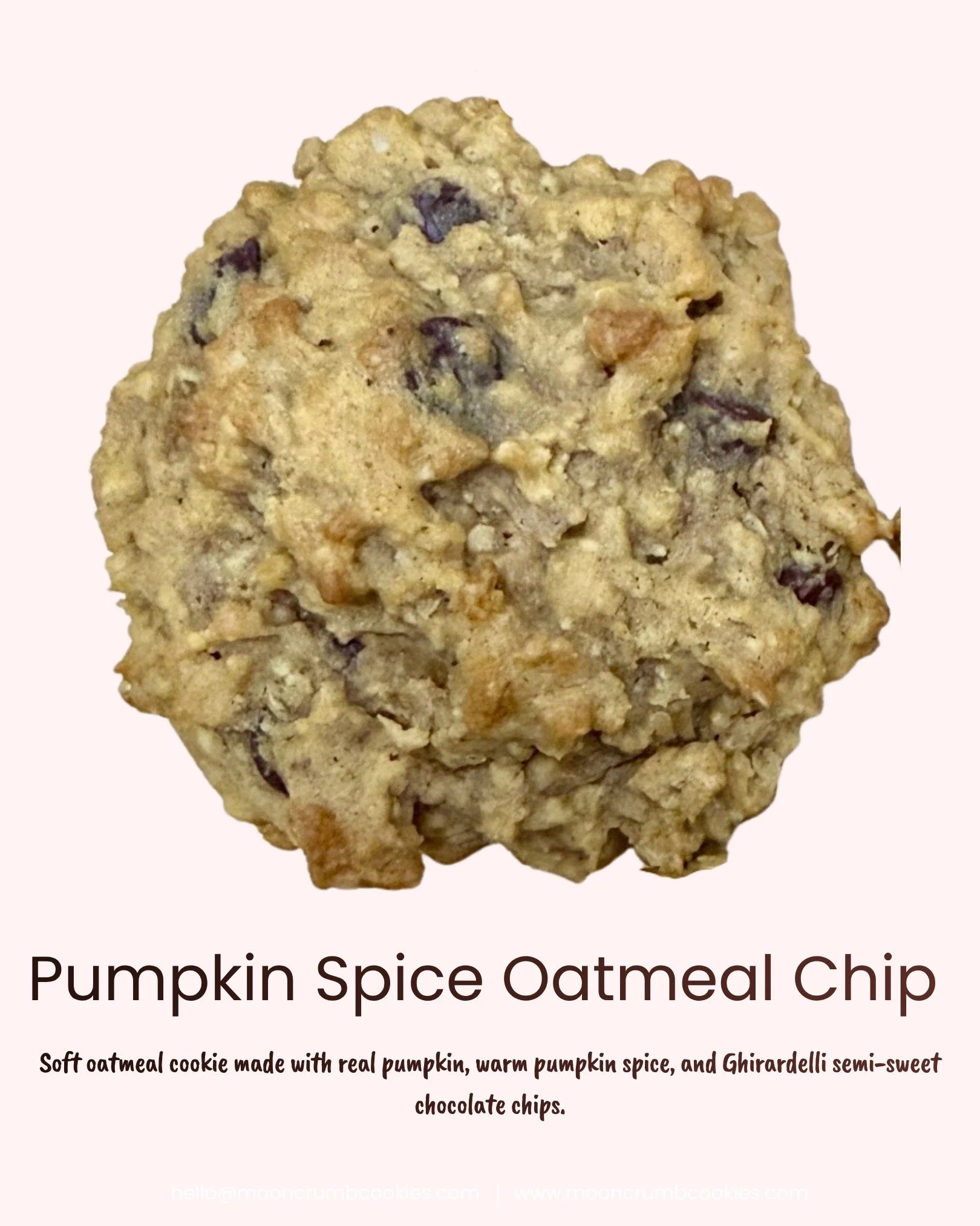 pumpkinchip.jpeg