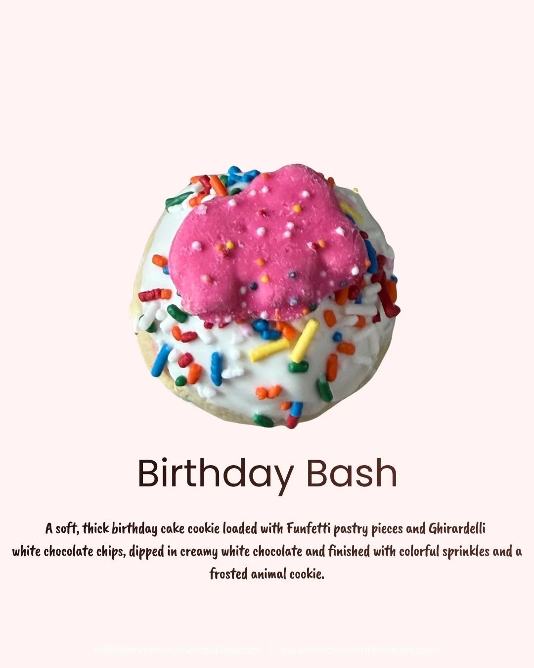Party Pack - 36 Cookies
