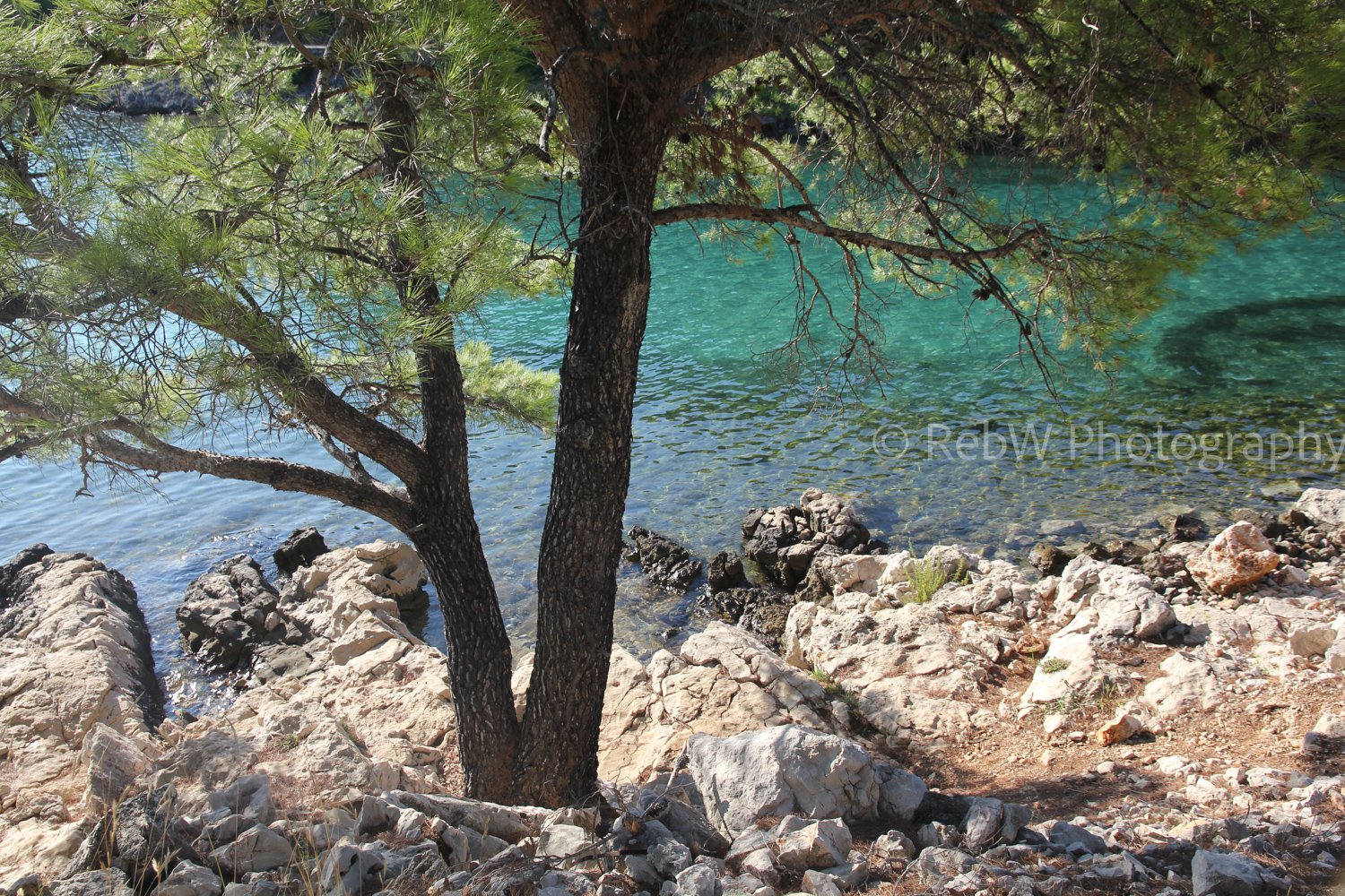 website_med-1.jpg