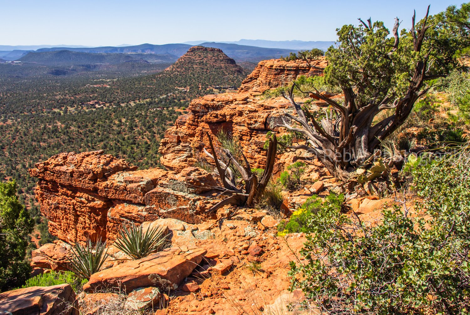 Arizona