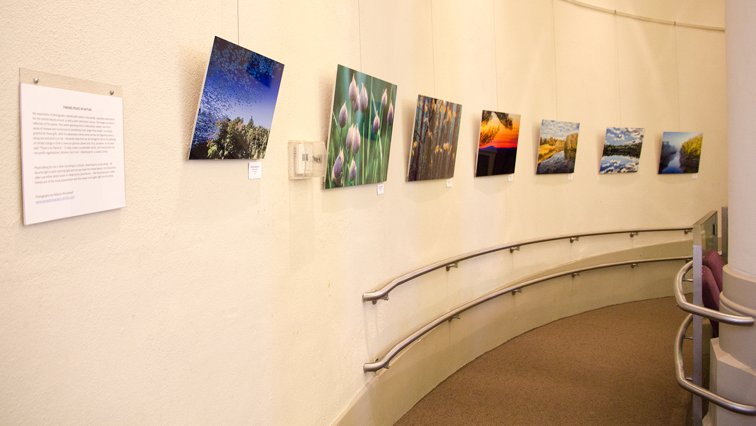 Art gallery with landscape and nature photographs hung on a curved wall.