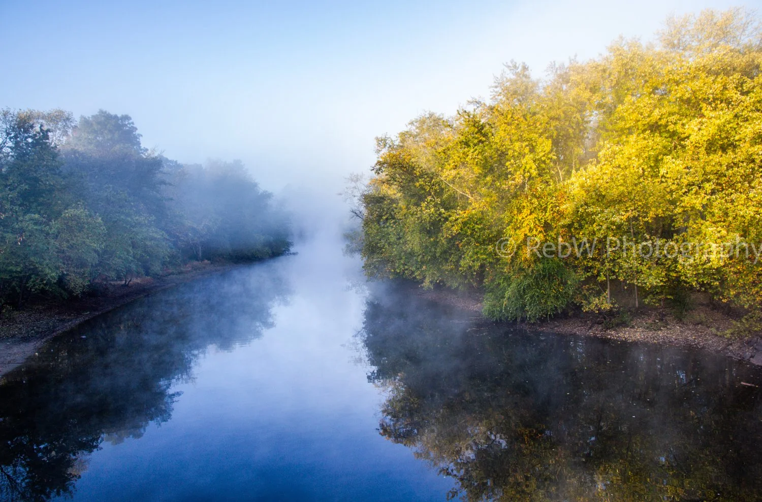 Misty morning over a calm river with trees on both banks, some with green and yellow leaves.