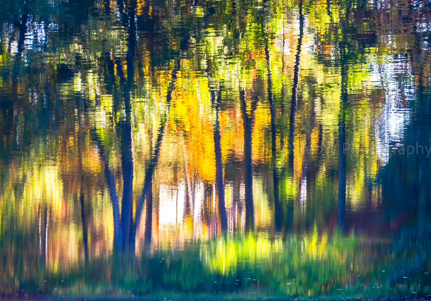 Reflections