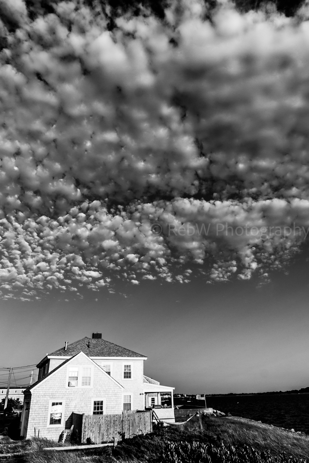website_B&W-30.png