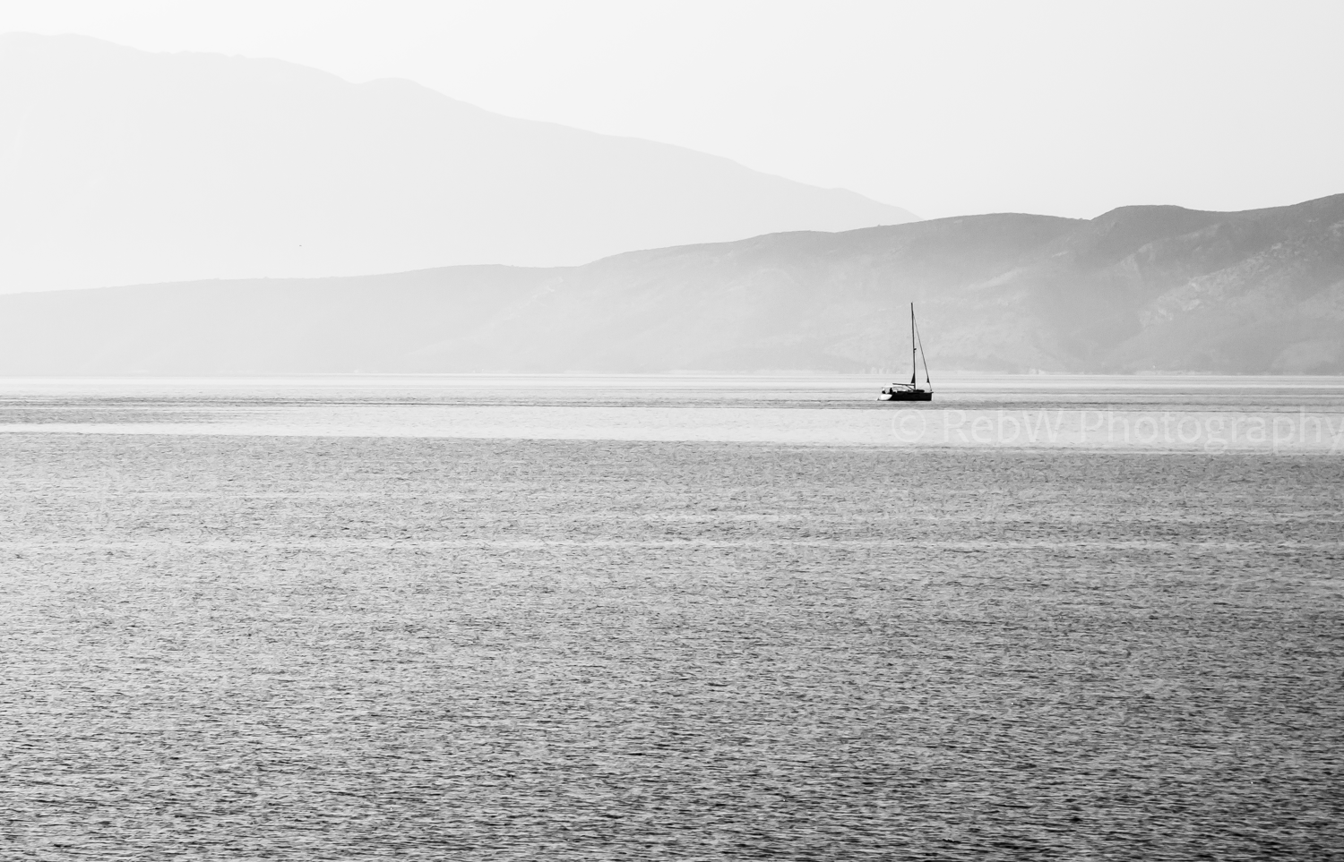 website_B&W-31.png