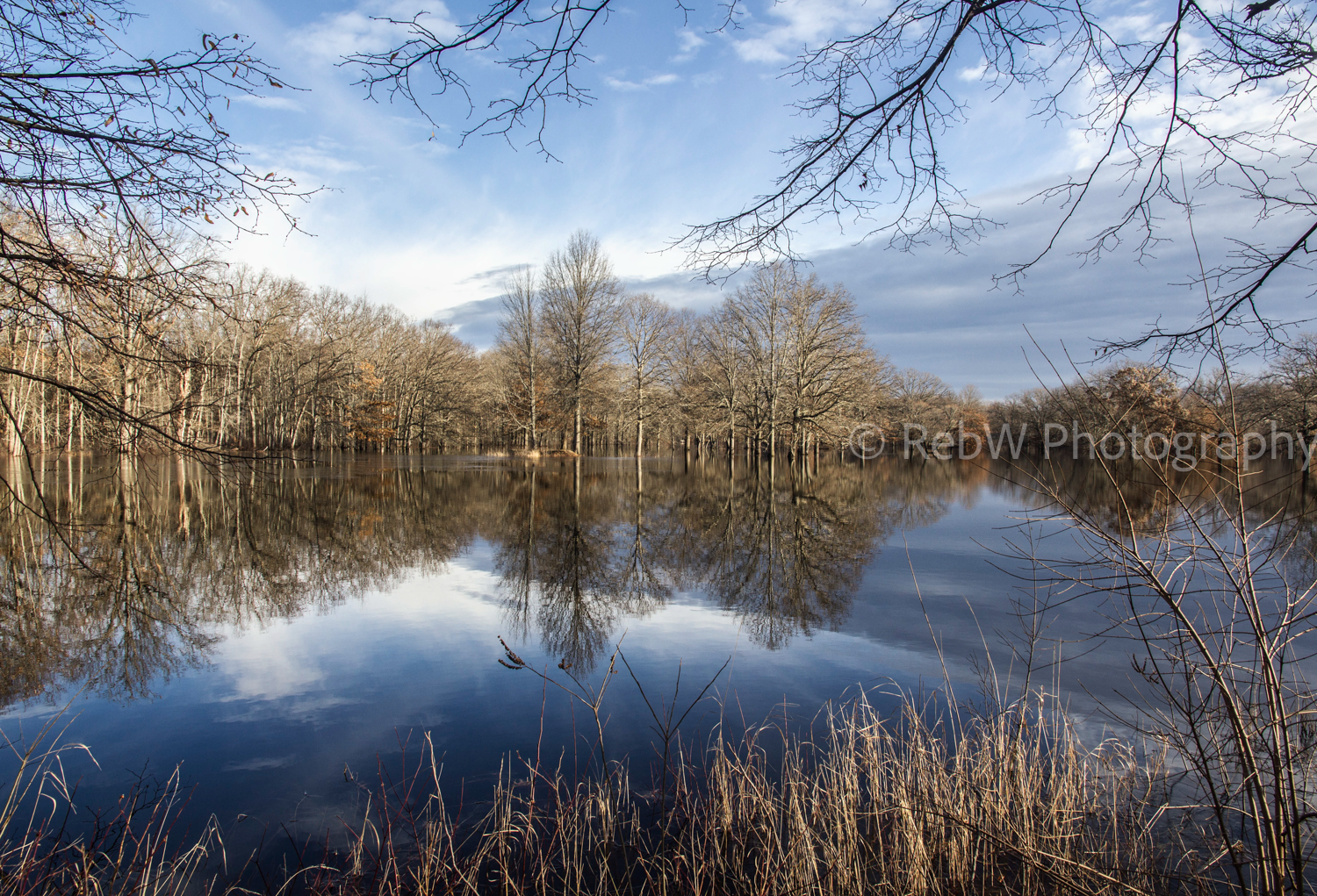 website_reflections-5LR.png