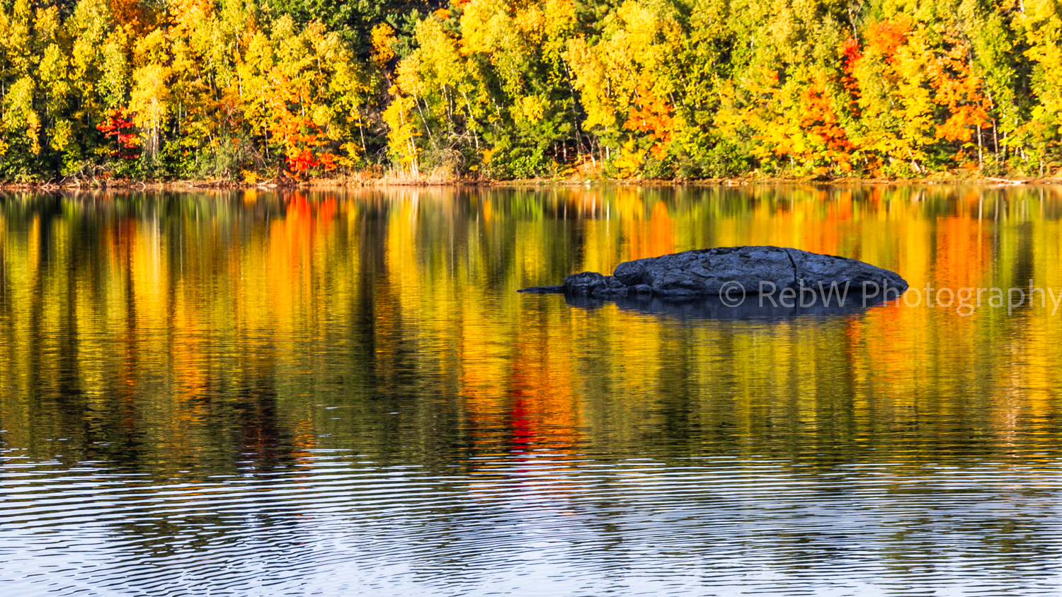 website_reflections-9LR.png