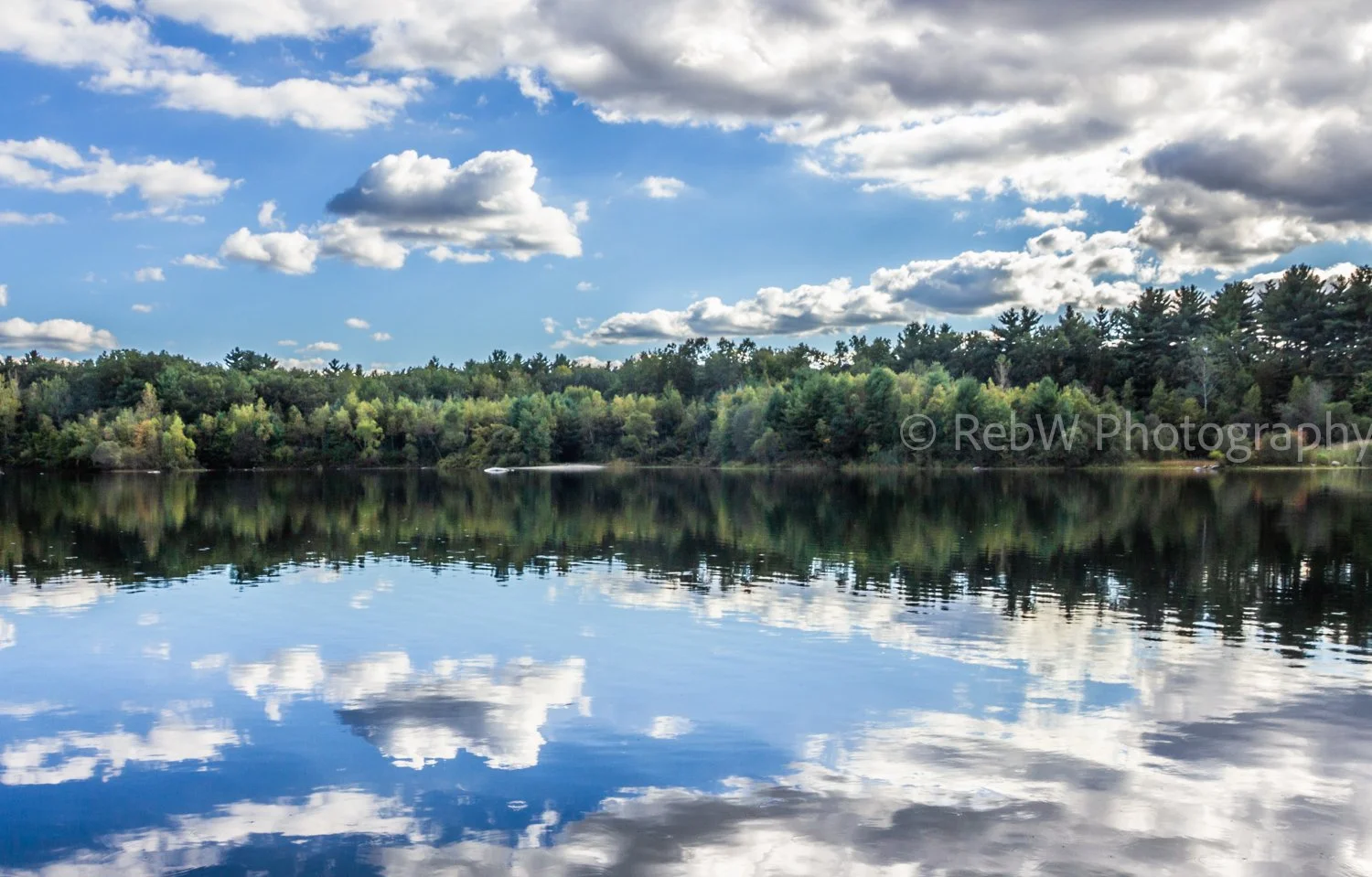 Trees, bright blue sky and scattered clouds are reflected perfectly on the water.