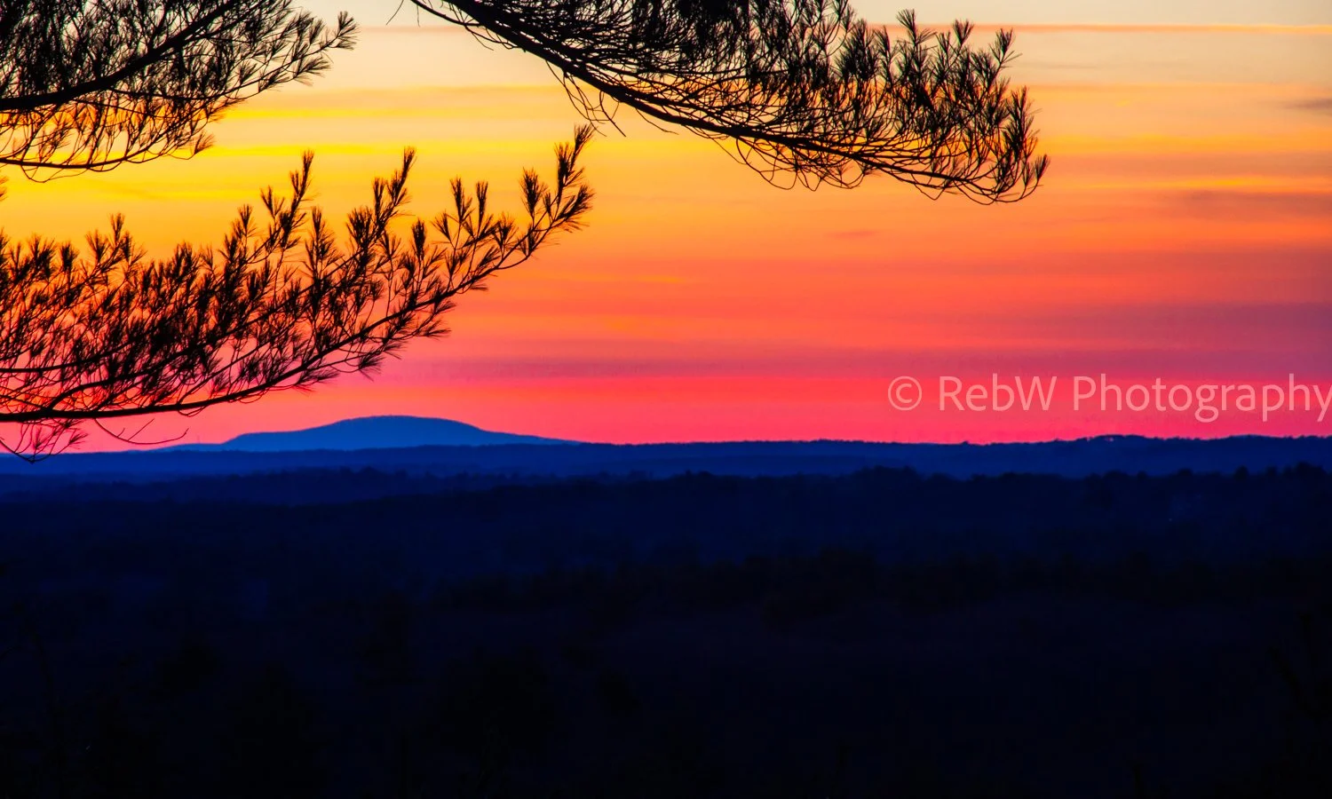 Colorful sunset over a forested landscape with a mountain in the distance, silhouetted tree branches in the foreground.