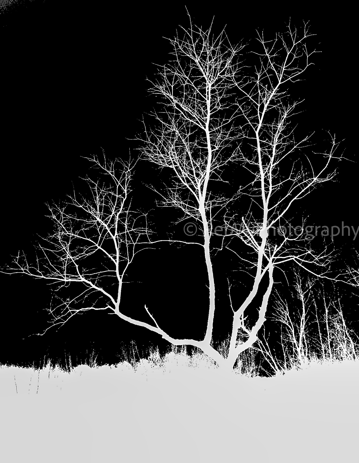 website_b&w-300.png
