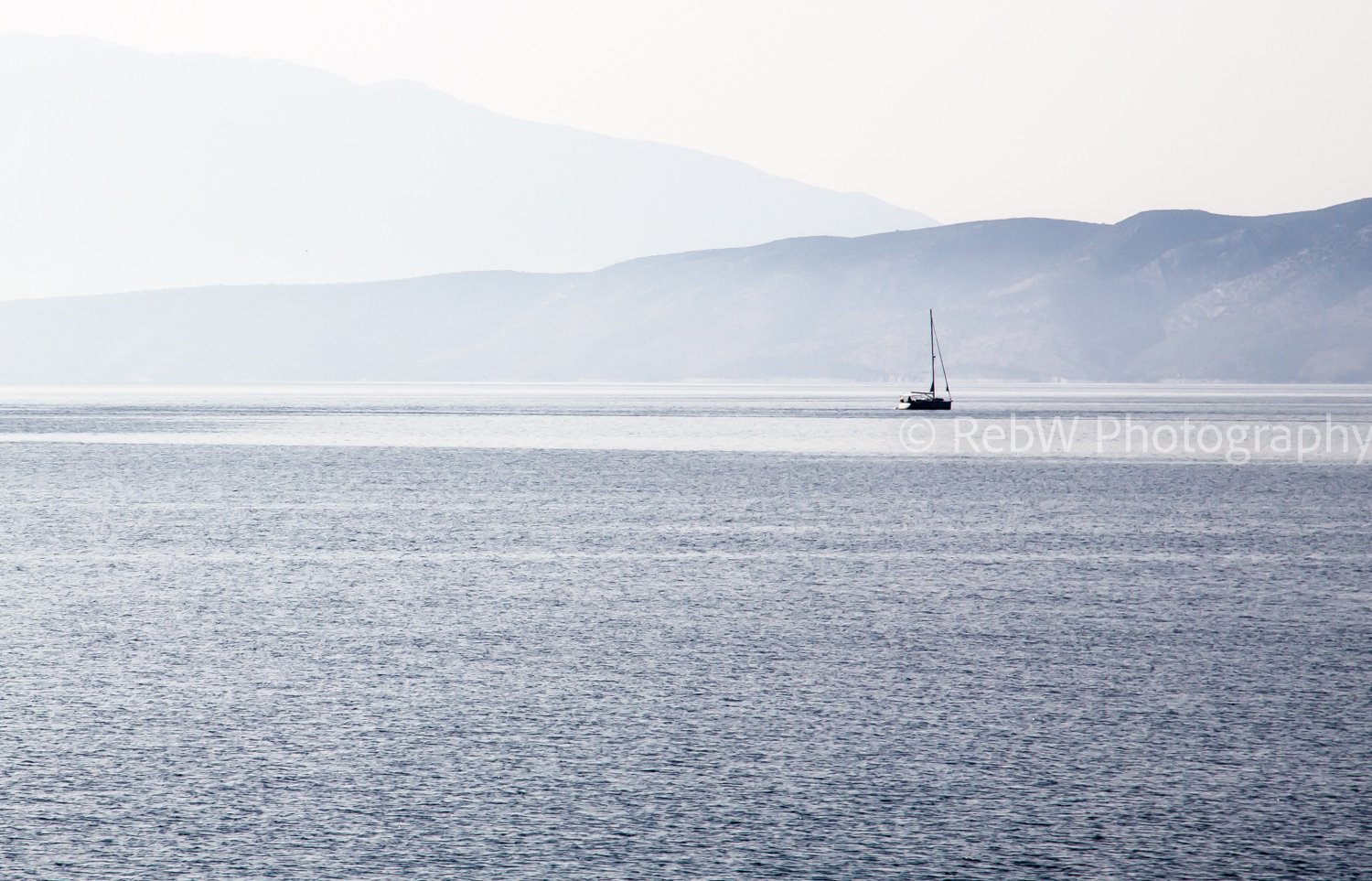 website_med-10.jpg