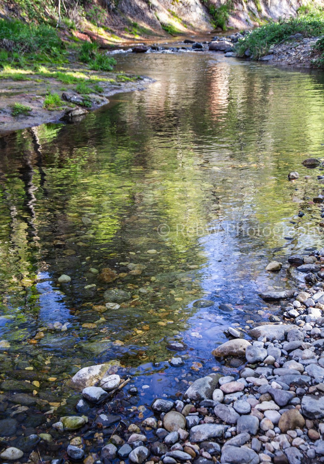 website_AZ-3.jpg