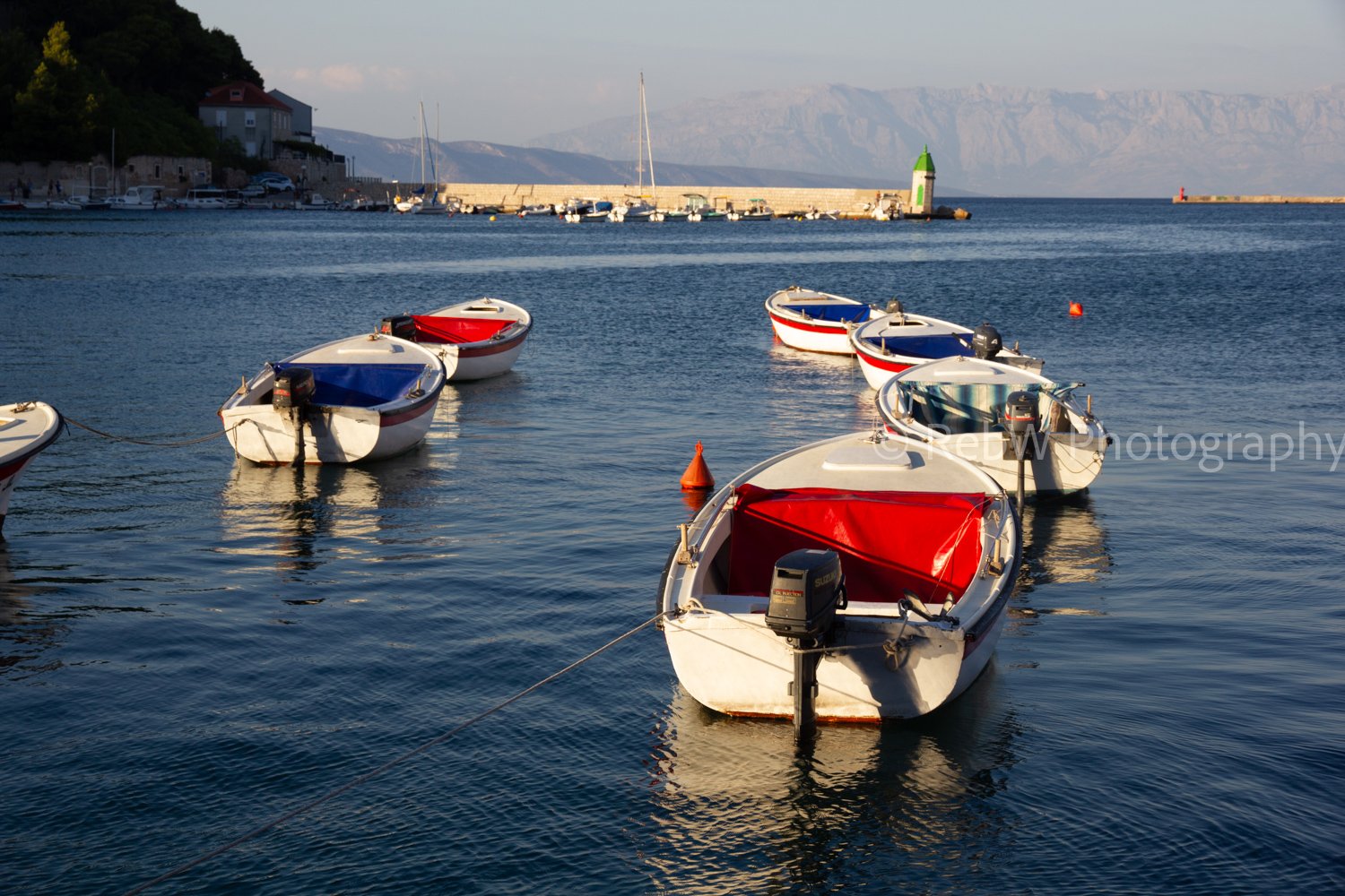 website_med-8.jpg