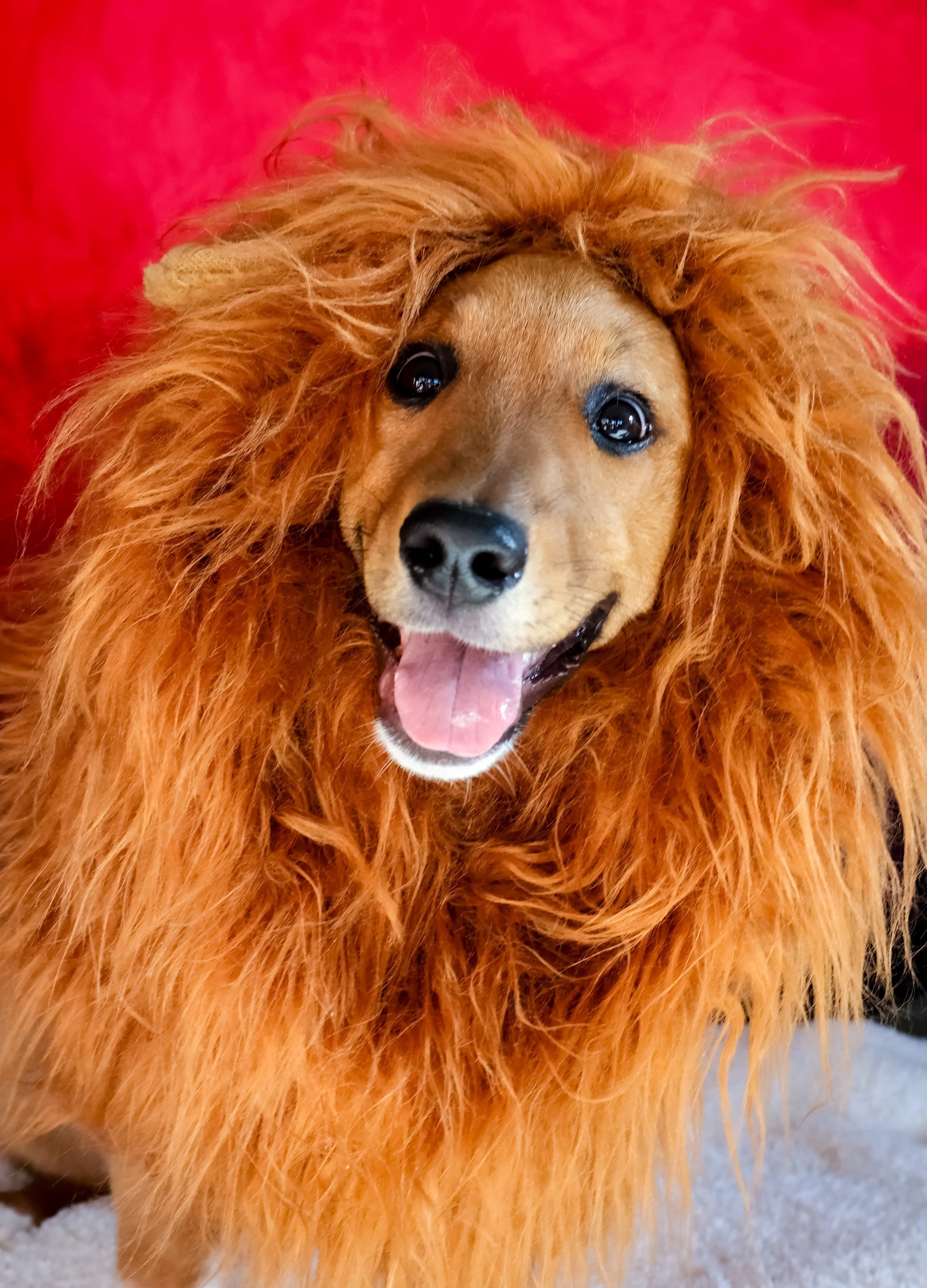 IMG_0485 2.JPG