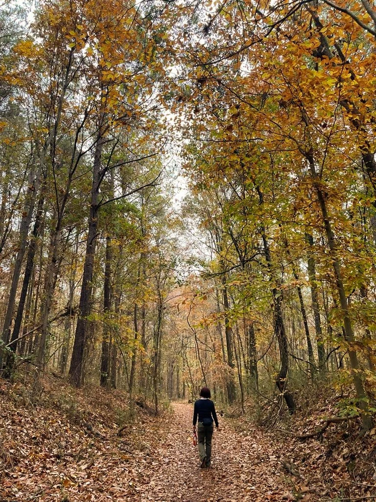 A person walking on a leaf-covered forest trail during autumn, surrounded by tall trees with orange, yellow, and brown leaves.