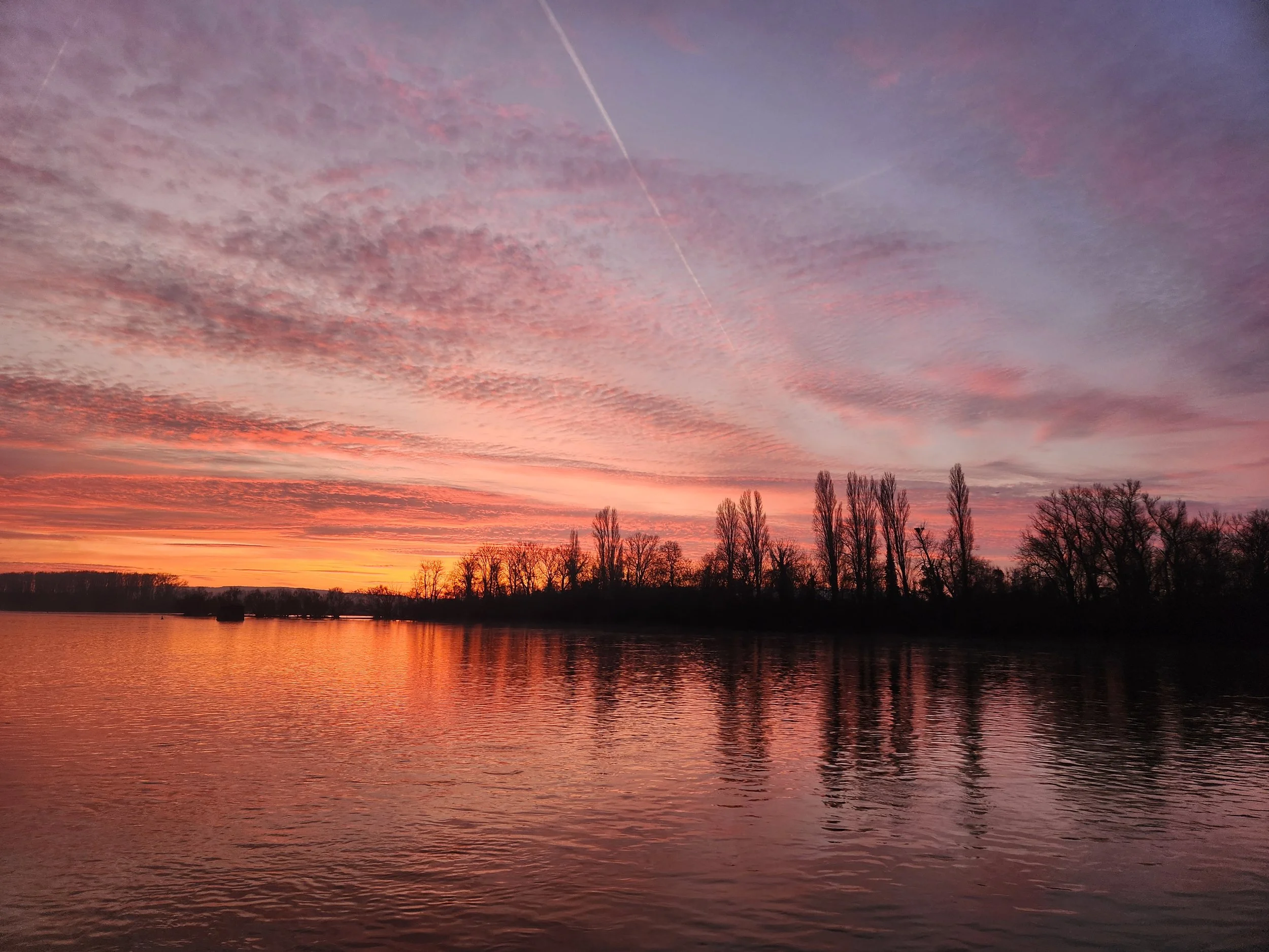 A vibrant sunset over a calm body of water with colorful clouds and silhouetted trees along the horizon.
