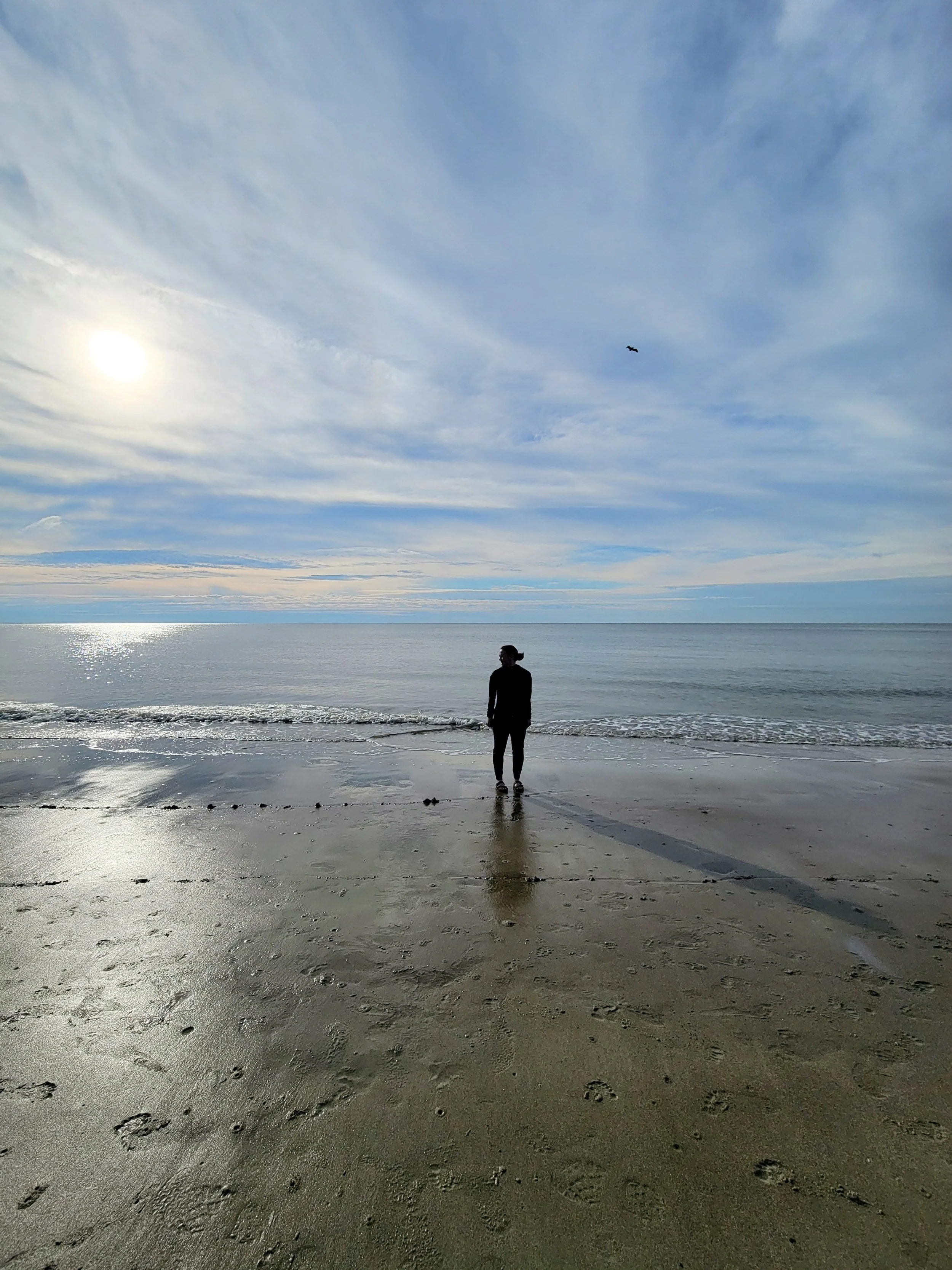 A person standing on a beach looking toward the ocean under a cloudy sky with the sun partially visible and a bird flying overhead.