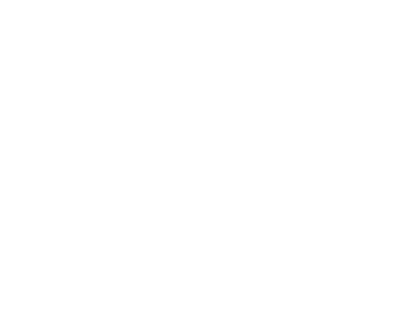 Text-based graphic reading "The Lean Choice" with a bullseye and arrow icon.