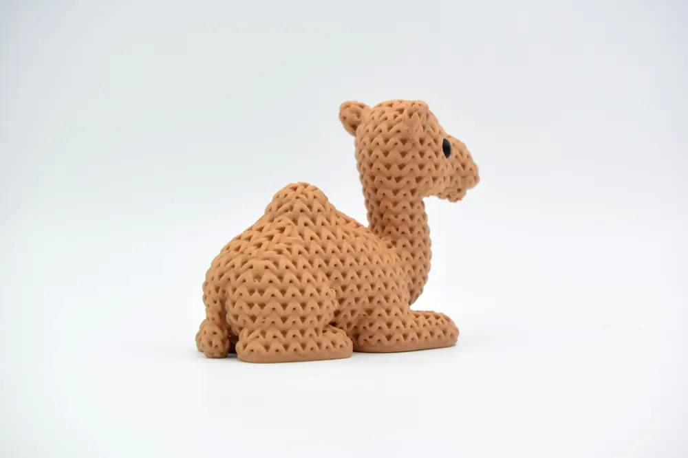 camel back.webp