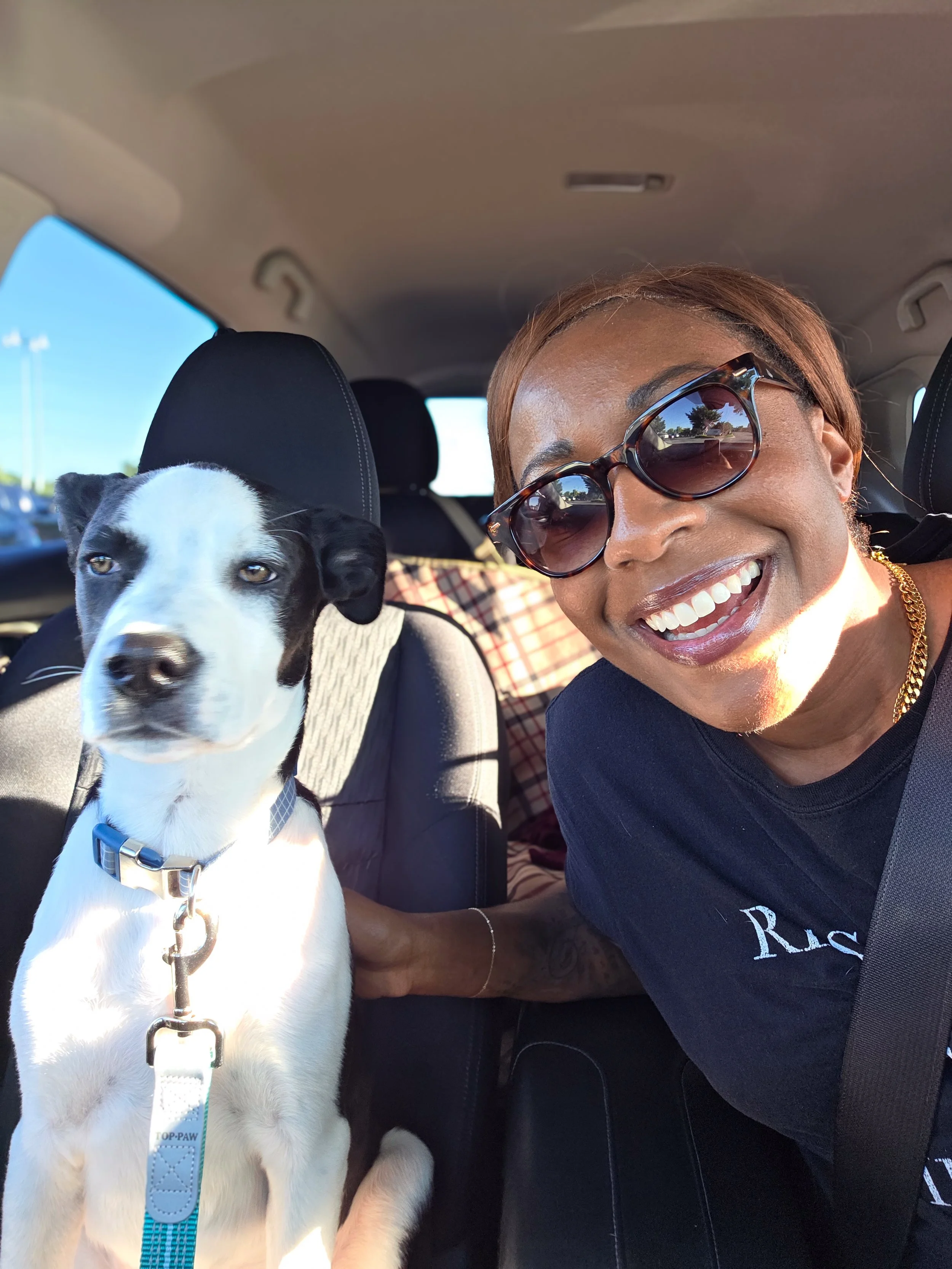 A woman with short brown hair, wearing sunglasses and a black T-shirt, smiling in a car with her dog, a black and white puppy with blue collar, sitting on her lap.
