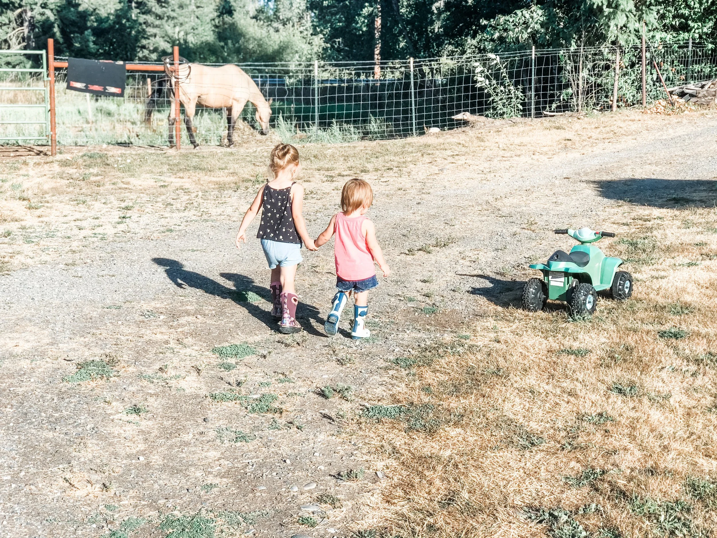 Children walking beside a horse pasture at a rural home in Eatonville, Washington