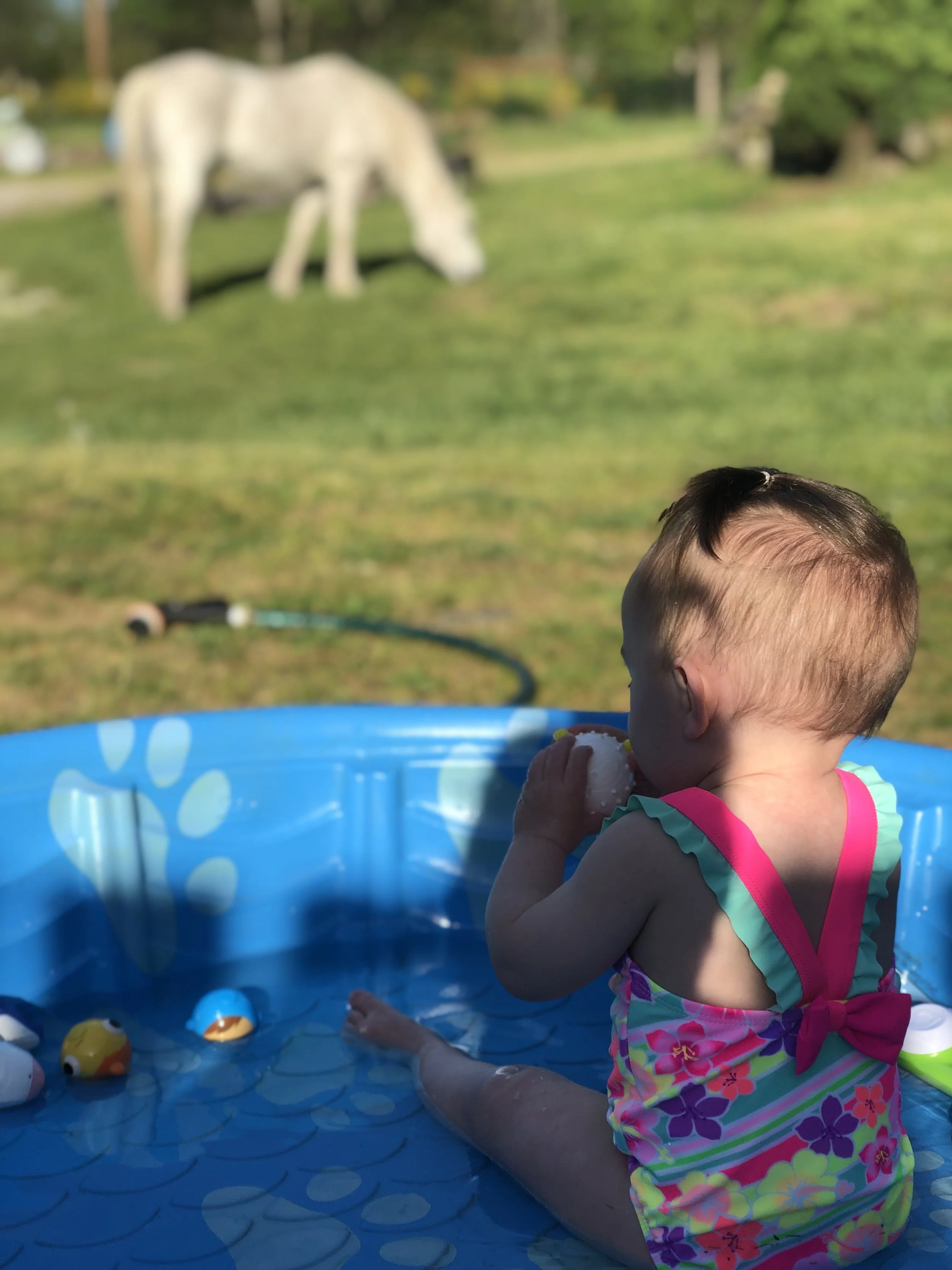 A young girl playing outside with her pony nearby at a rural home in Eatonville, Washington, reflecting everyday family life on a horse property
