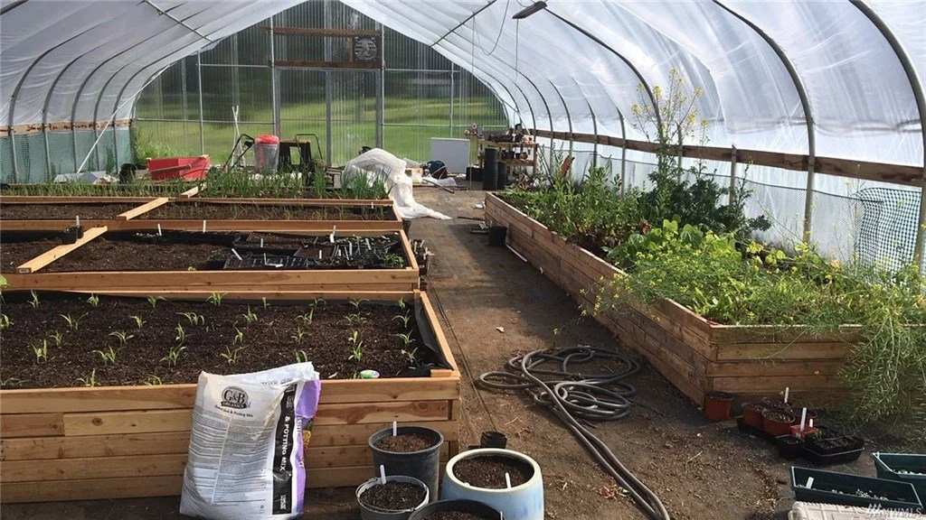 Greenhouse with raised garden beds on a rural property in Eatonville, Washington.