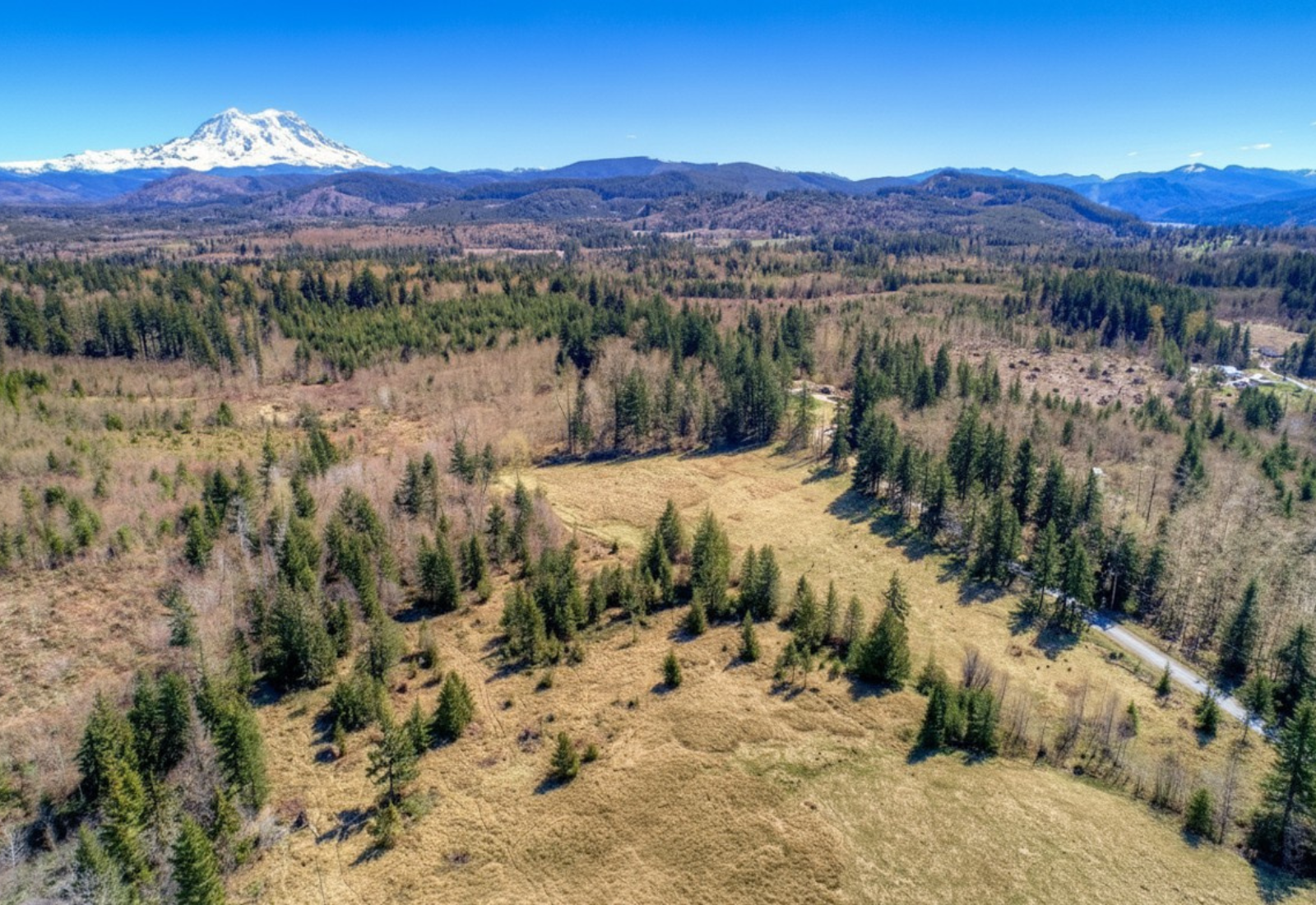 Ten-acre vacant land parcel sold by Caitie Henselman in Eatonville, Washington, with open acreage, forest, and Mount Rainier views