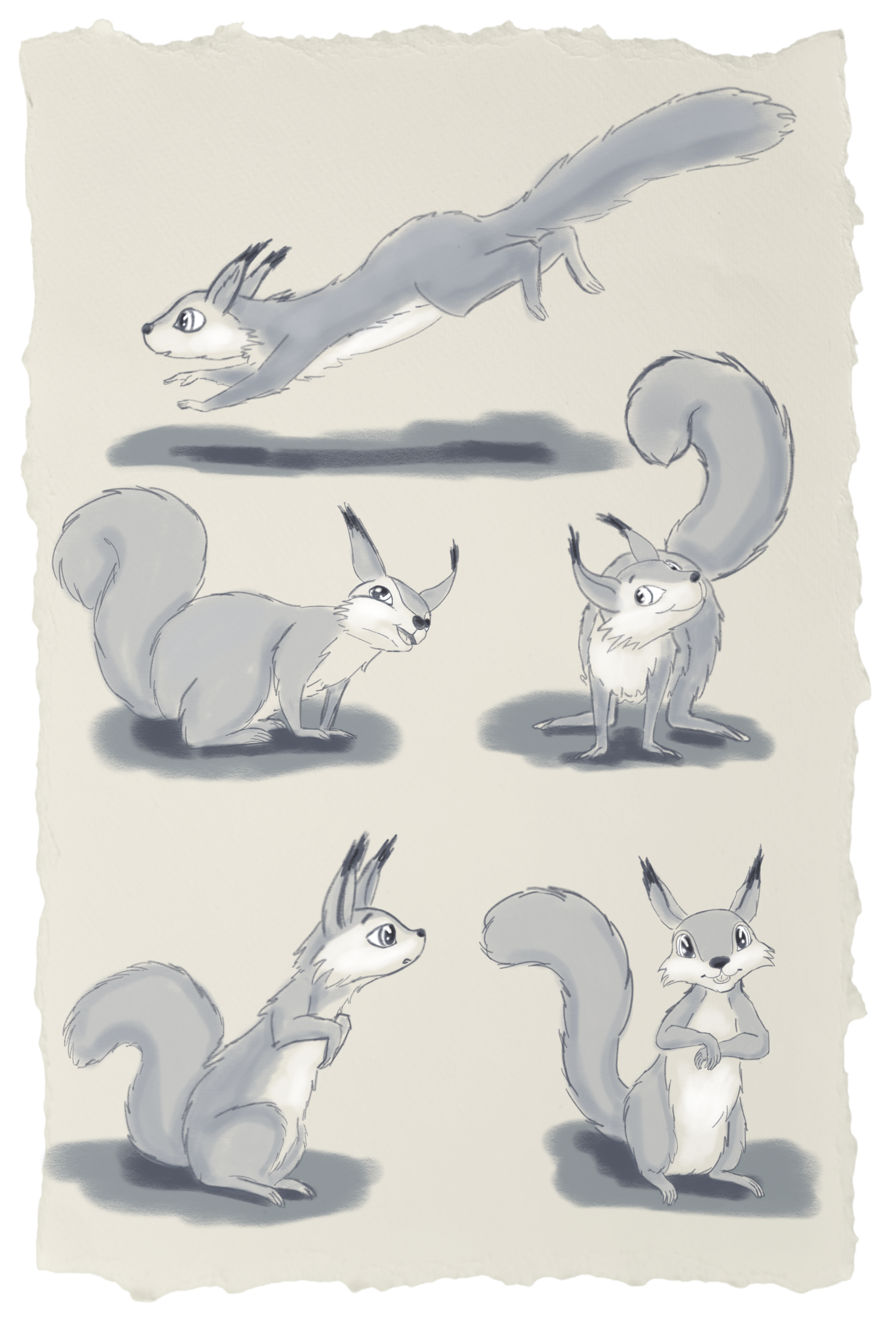 Squirrel-Sketch-cute-Pinkie-Studio-Claudia-hoffmann-kaeufer.png