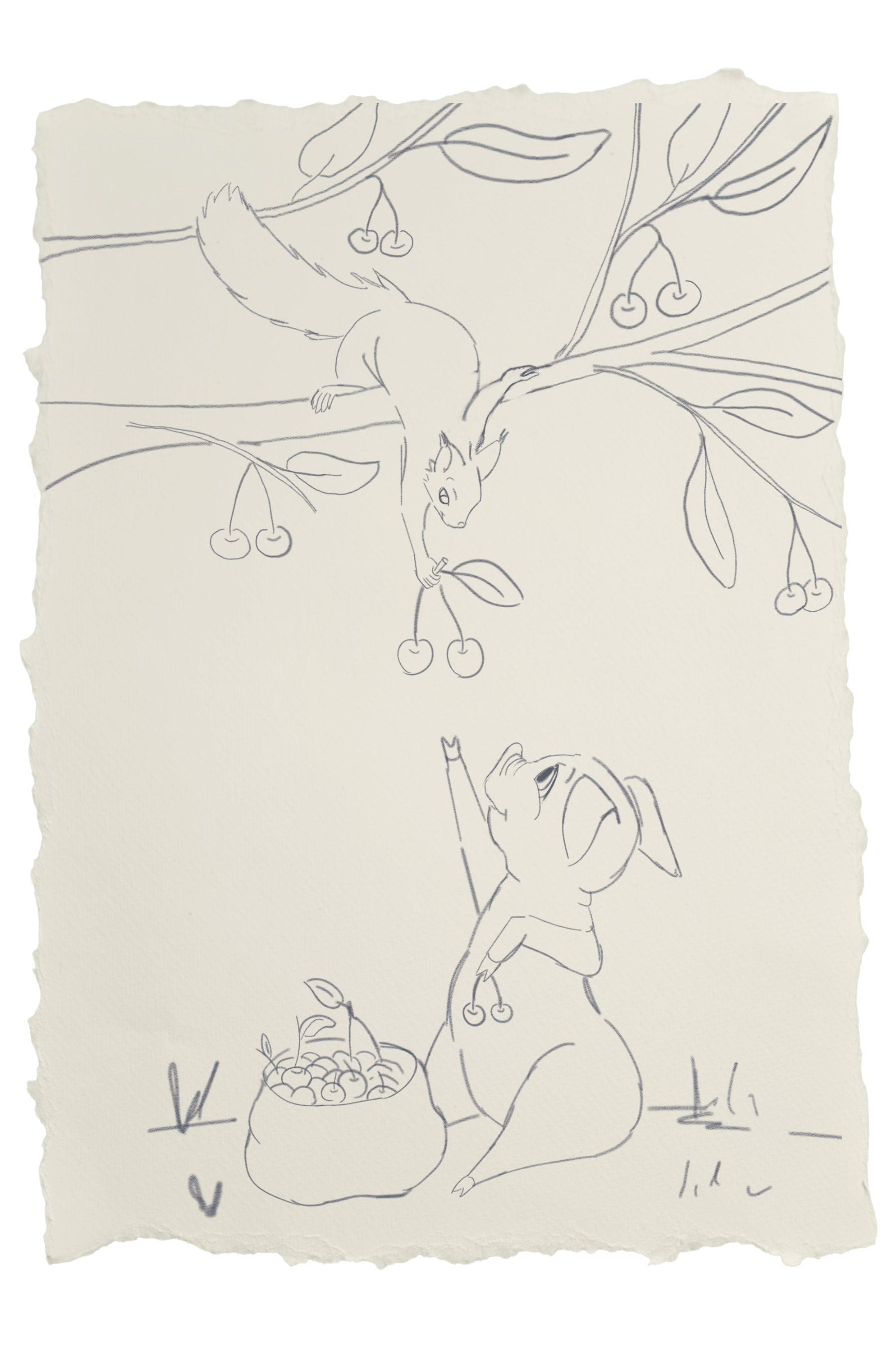 A line drawing on torn paper of a squirrel hanging from a tree branch, reaching down to a basket of cherries, with a person sitting below. The drawing includes leaves, cherries, and some indecipherable scribbles.