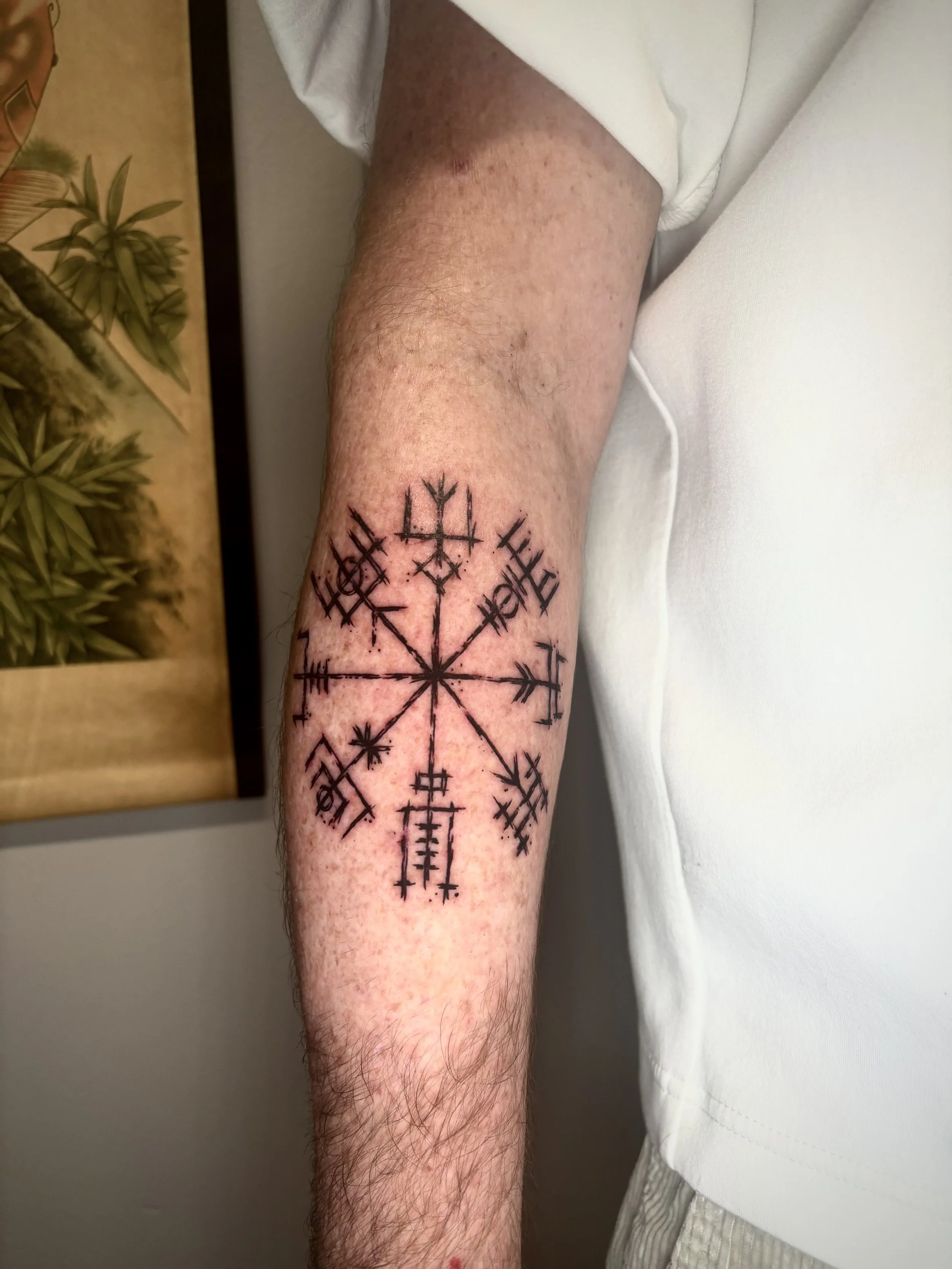 IMG_6501.jpeg