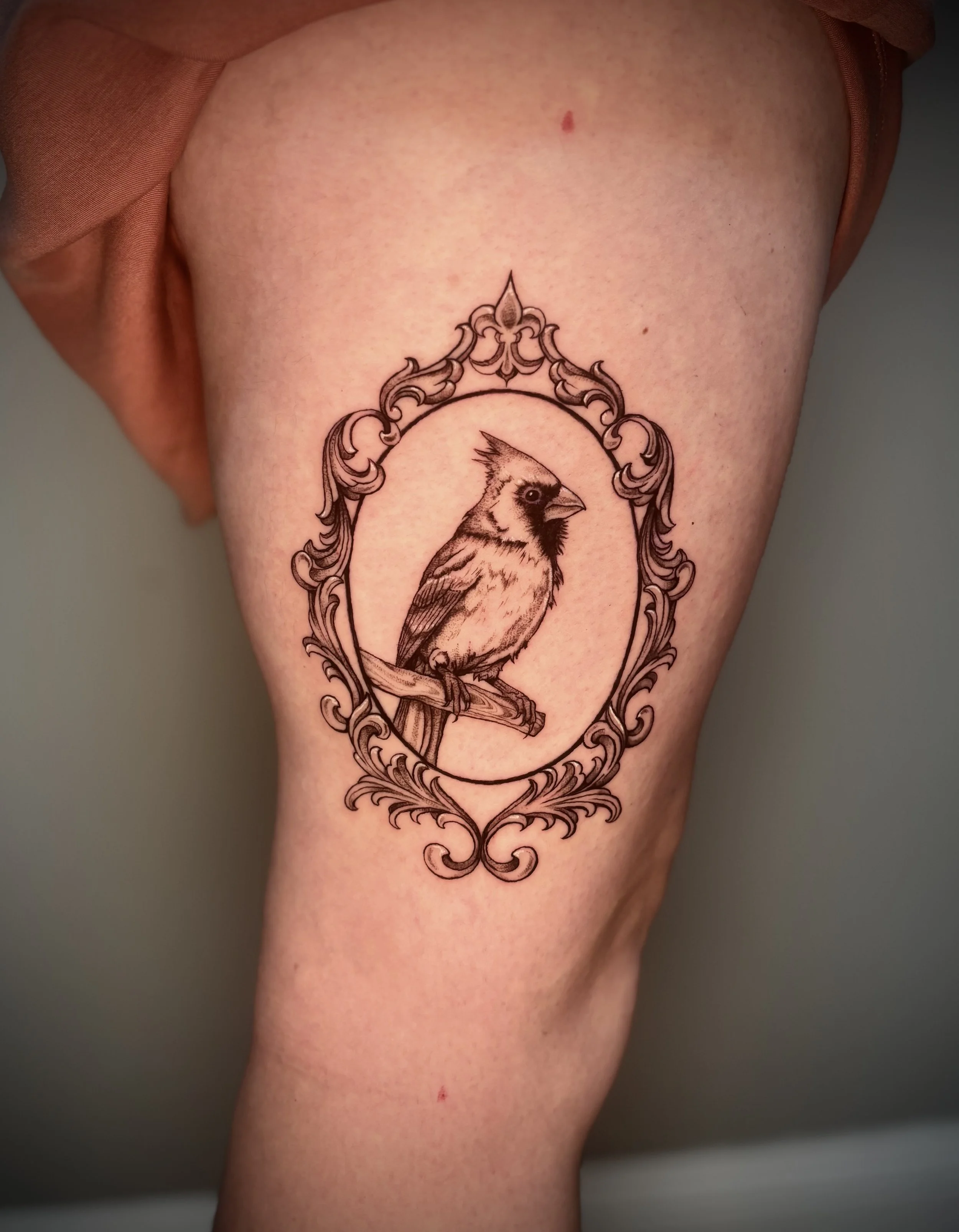 Close-up of a person's upper arm with a detailed black and gray bird tattoo surrounded by decorative ornate framing.