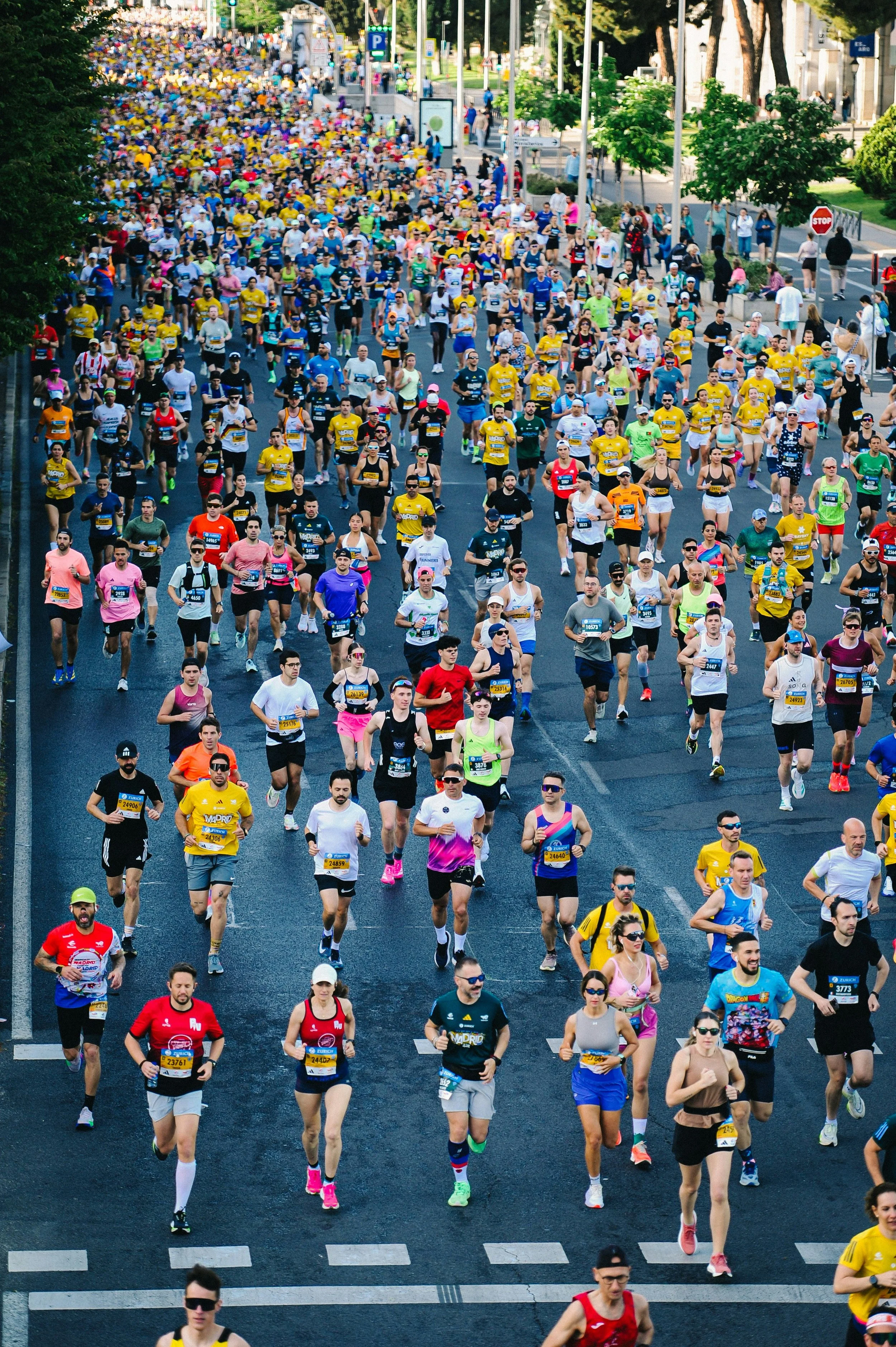 A large crowd of runners participating in a marathon on a city street, with some people walking along the side, lined by trees and city buildings.