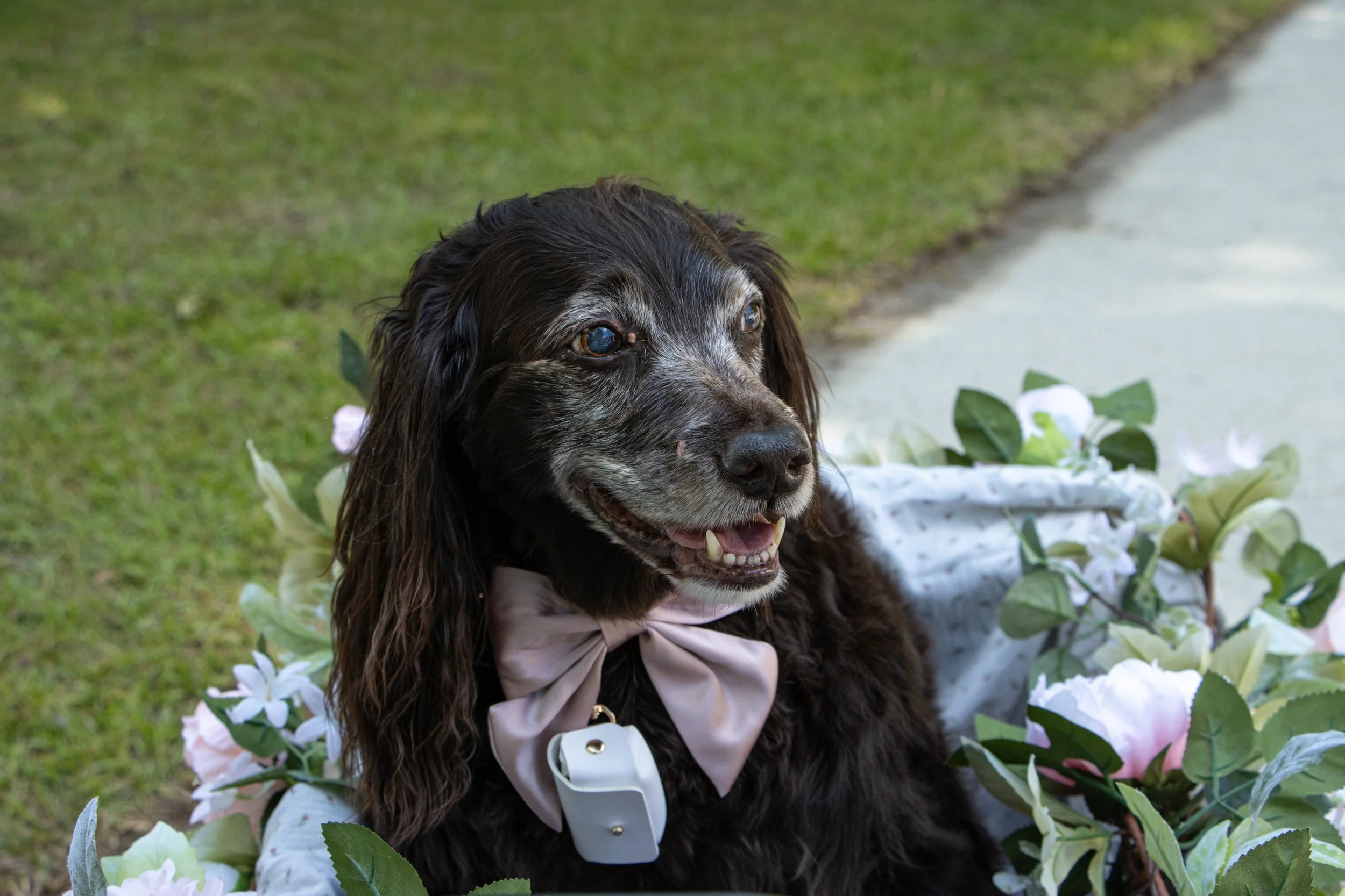 LaytonWedding25-135.jpg
