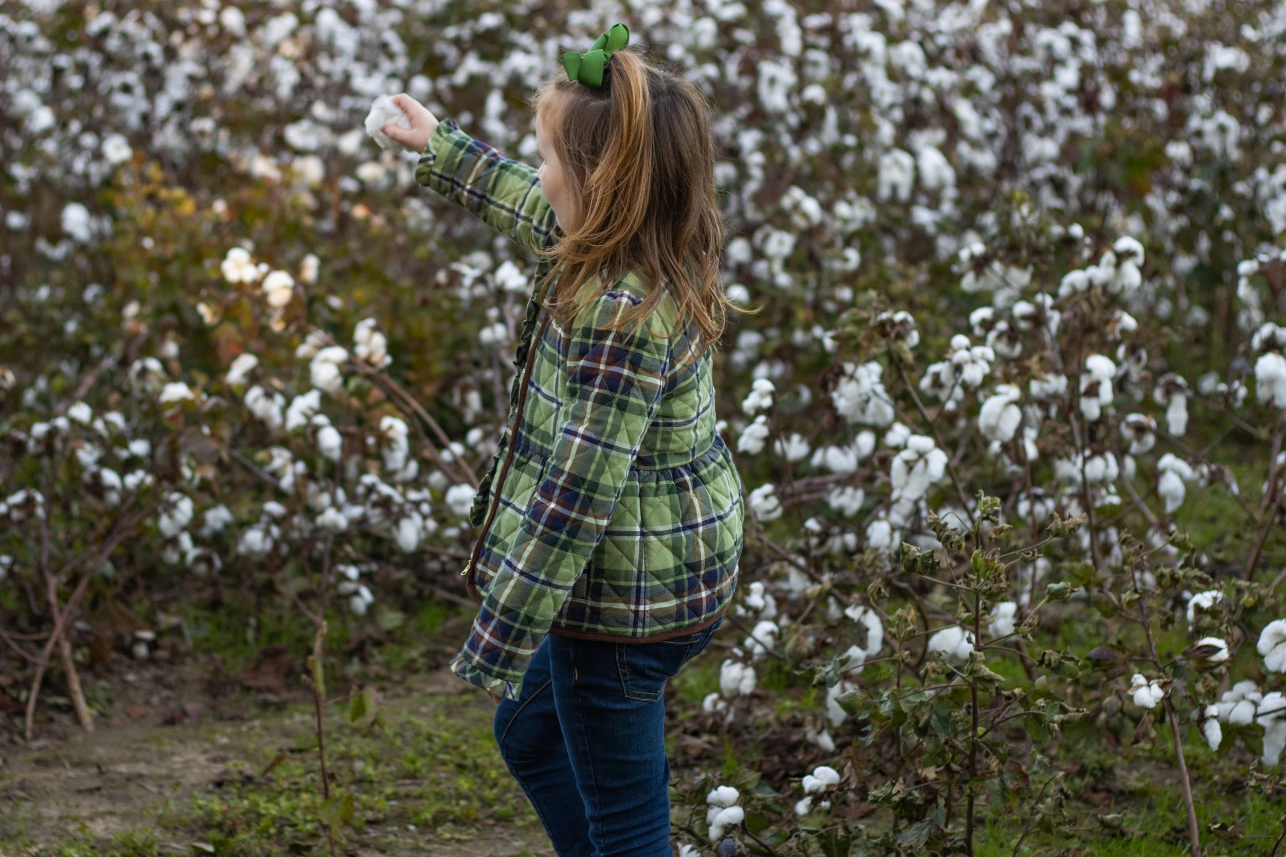 cottonfield24-29.jpg