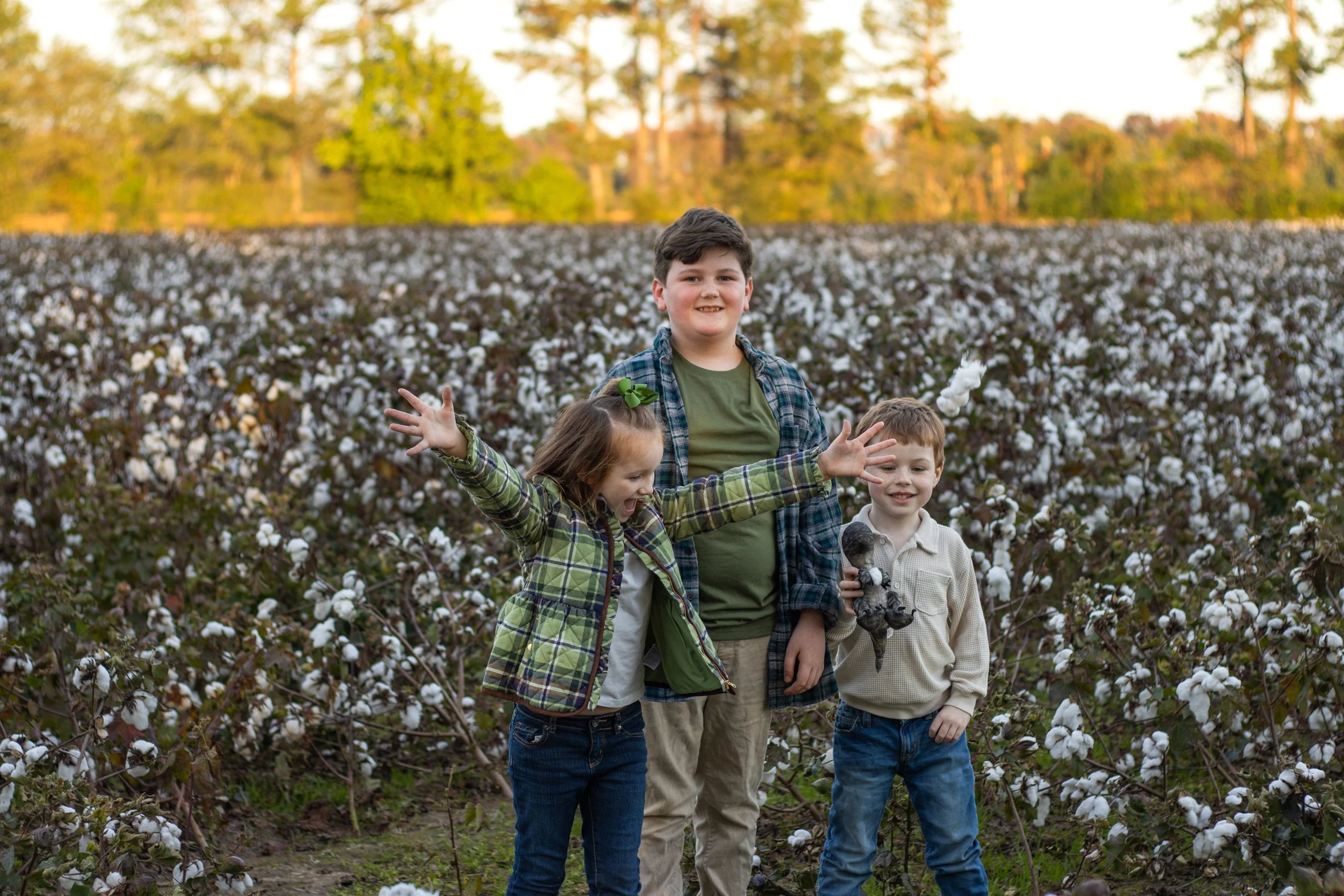 cottonfield24-43.jpg