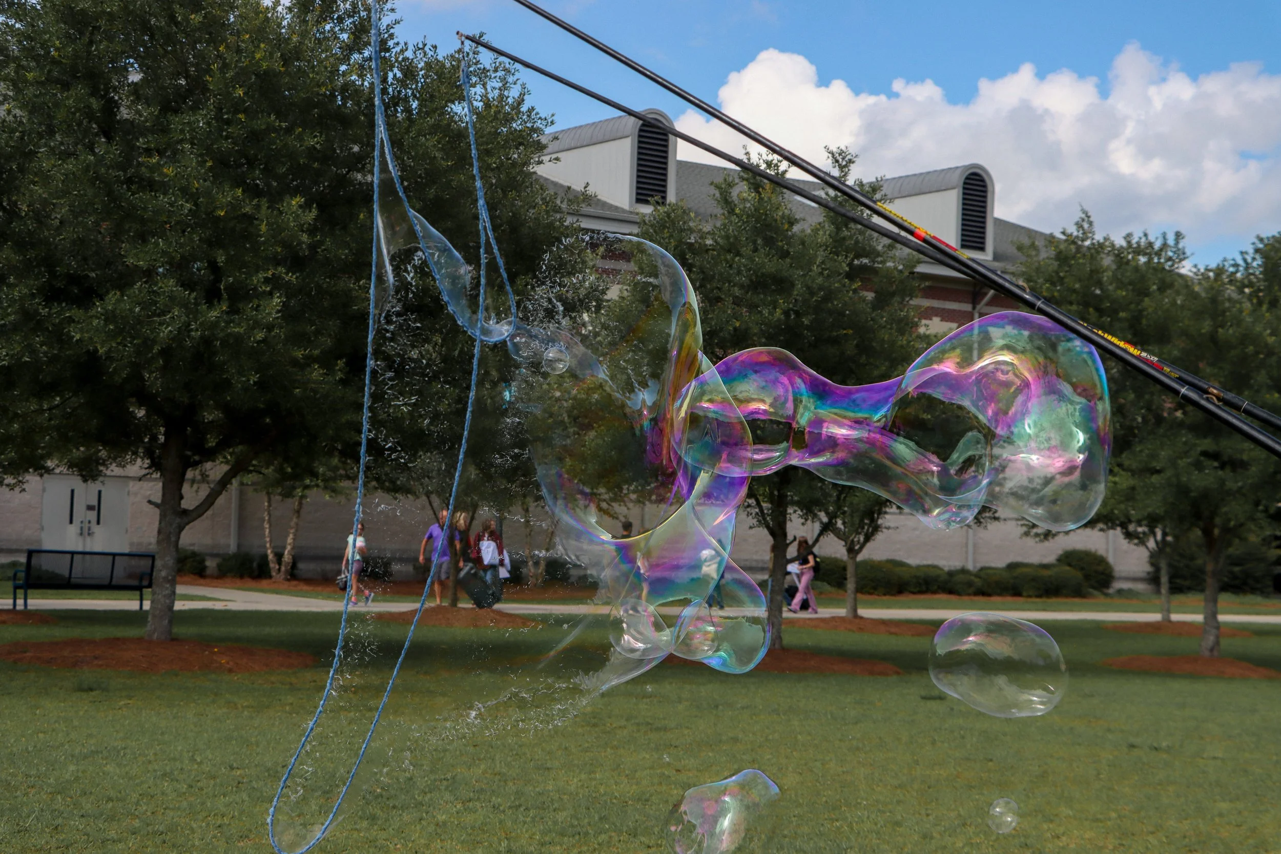Bubbles-10.jpg