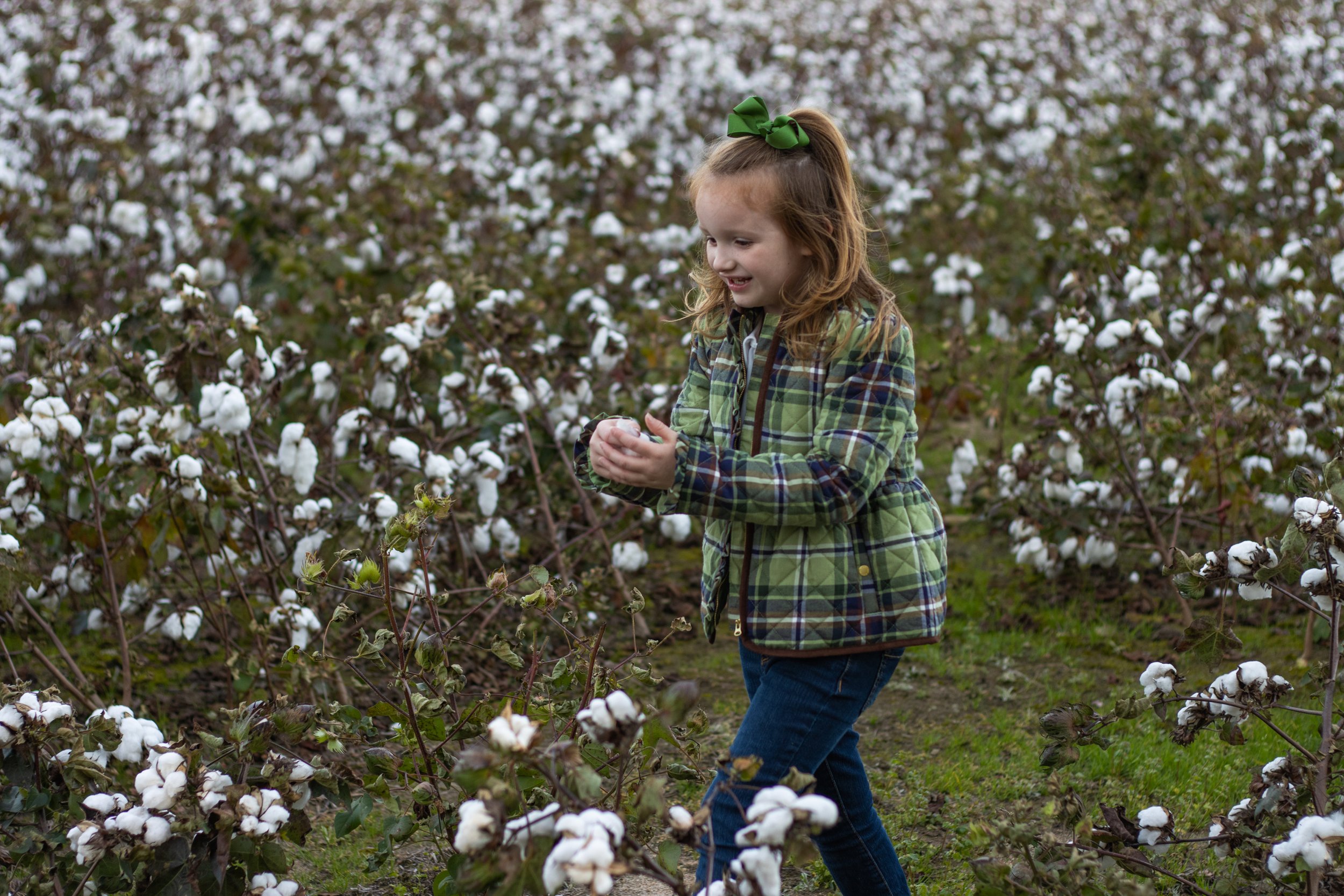 cottonfield24-28.jpg