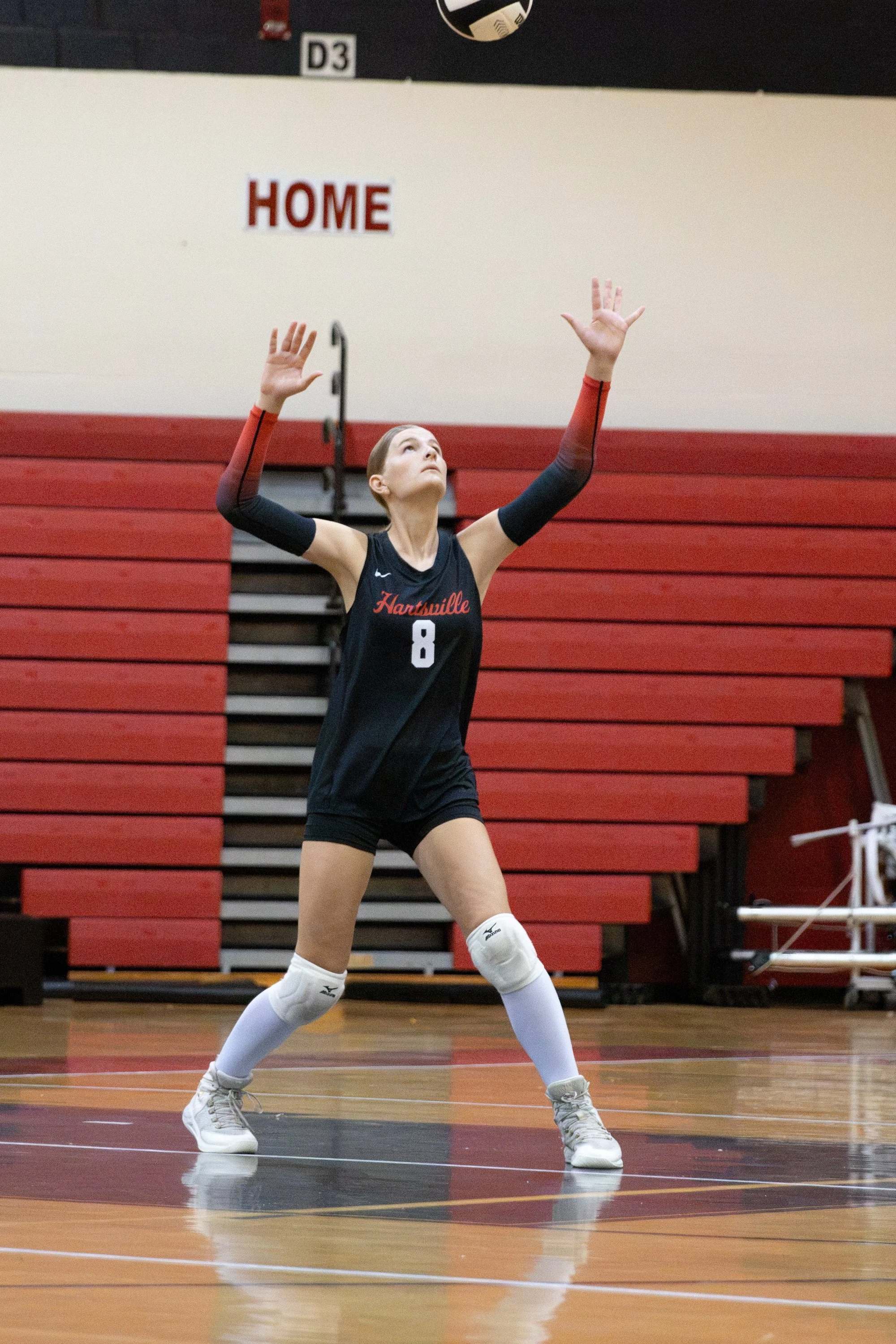 HHSvball8-14-164.jpg