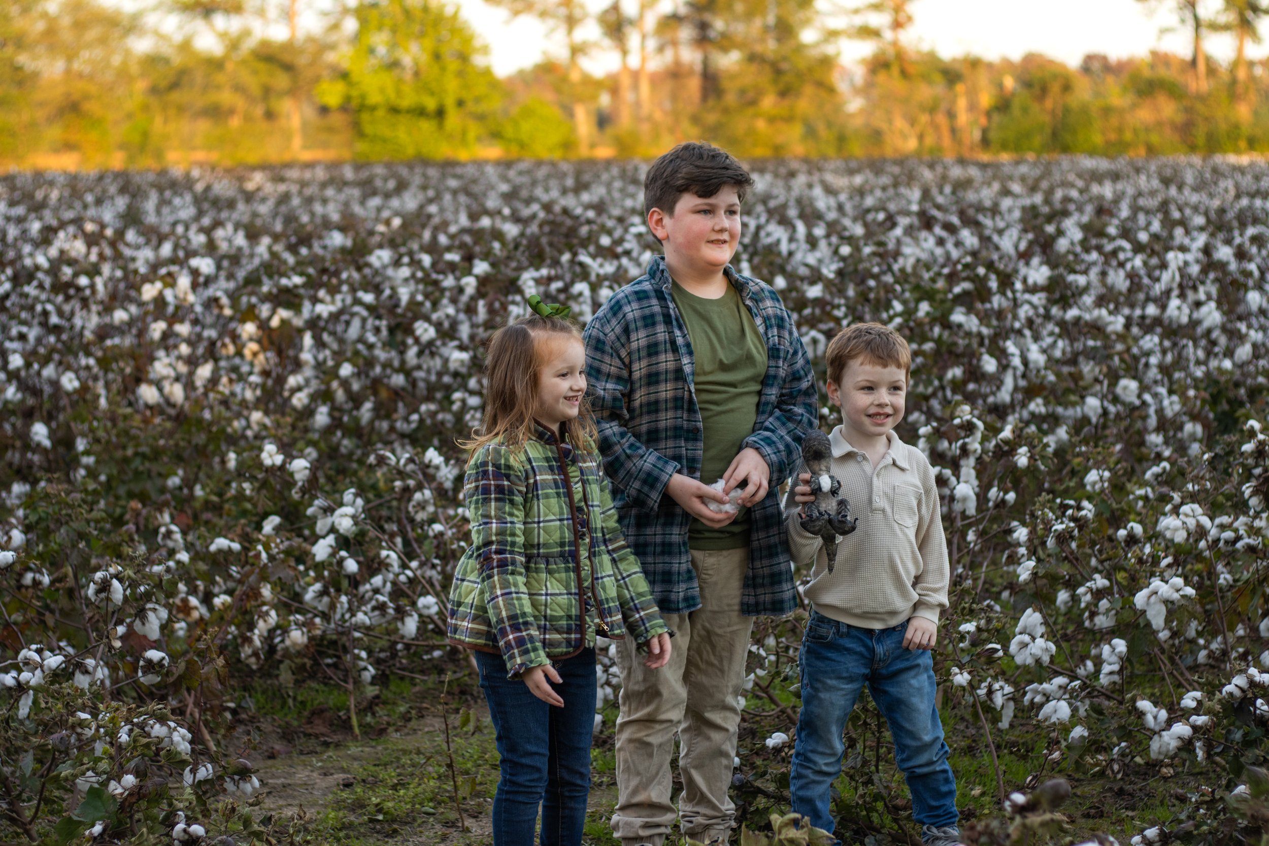 cottonfield24-41.jpg