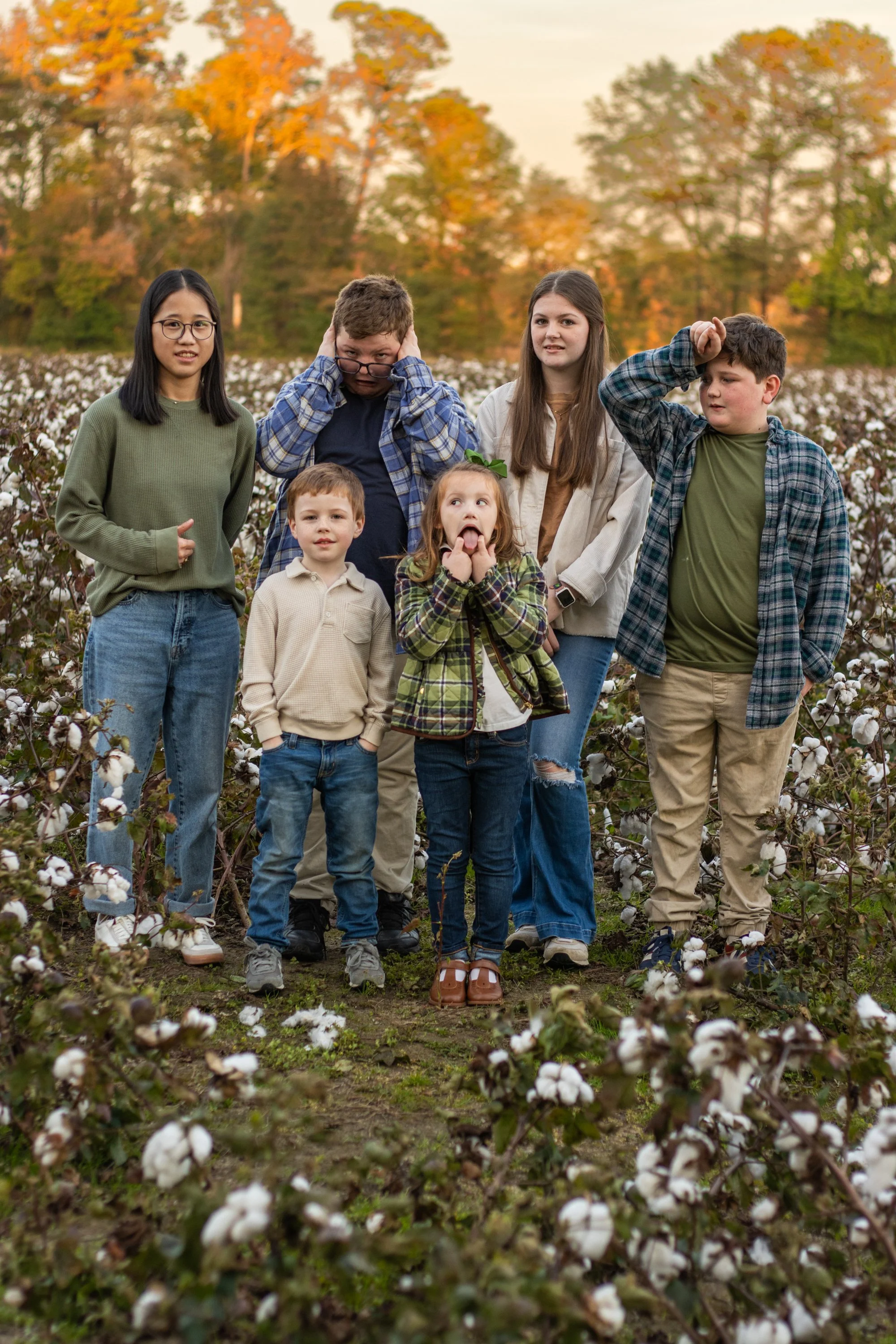 cottonfield24-64.jpg