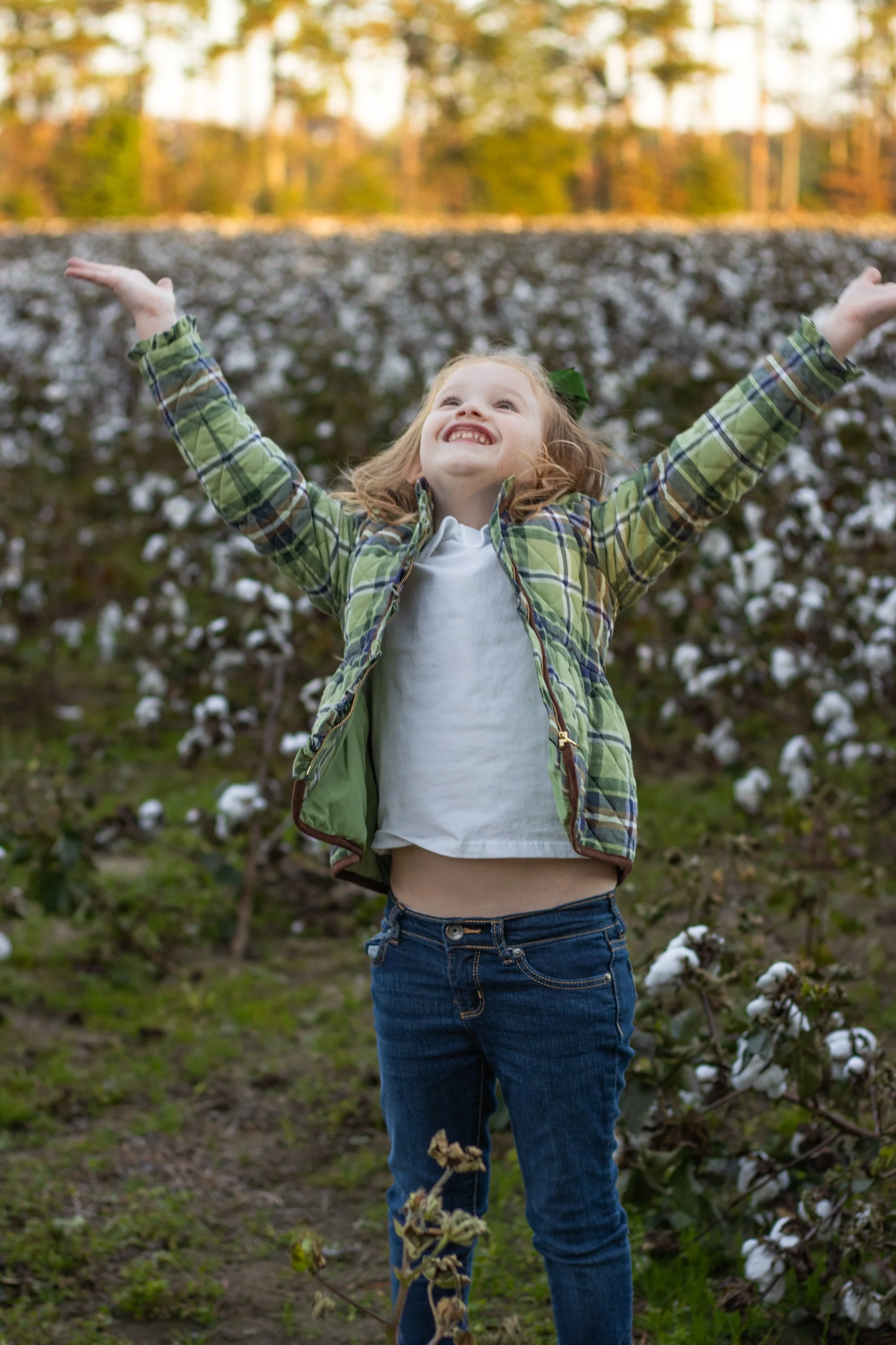 cottonfield24-40.jpg