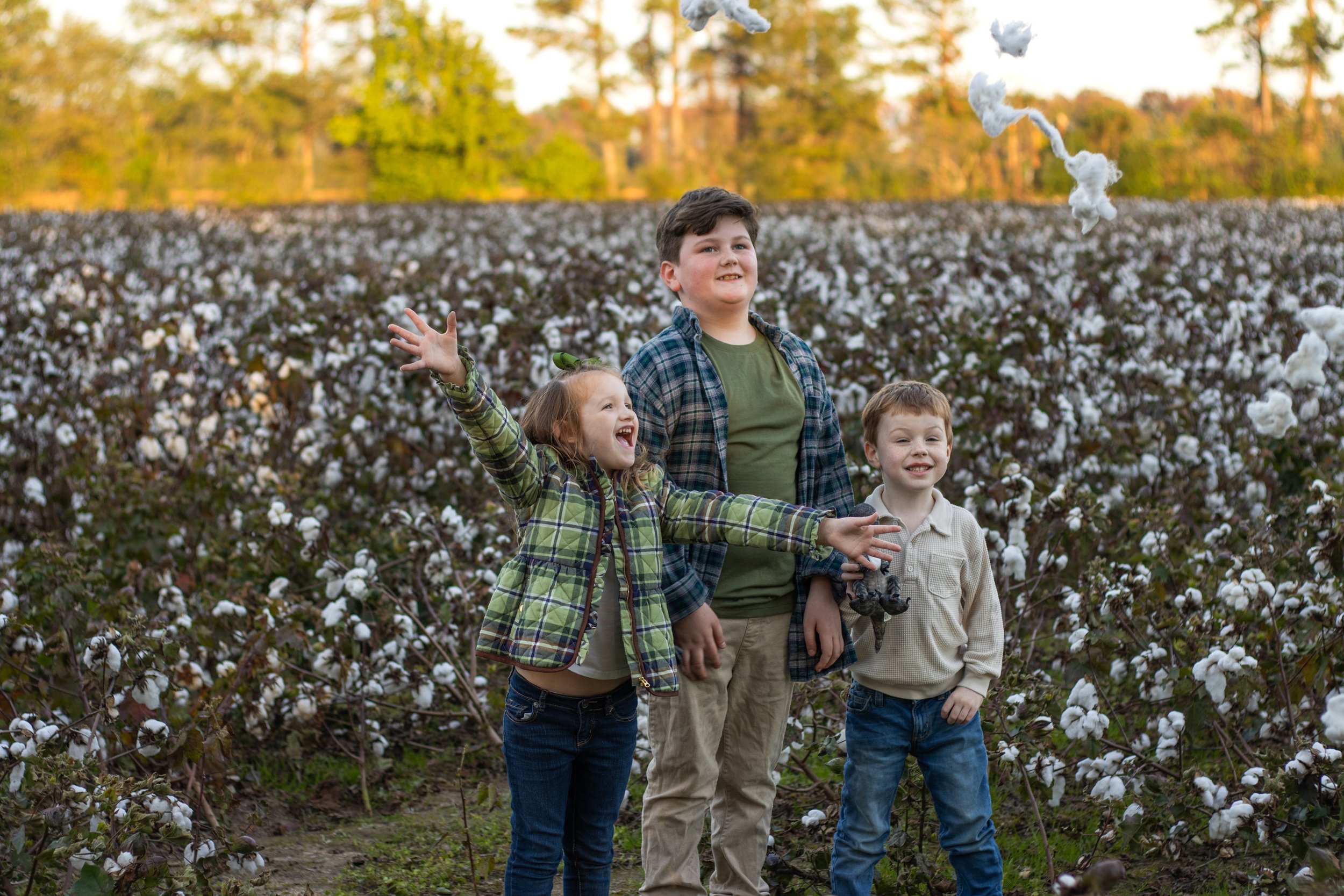 cottonfield24-42.jpg